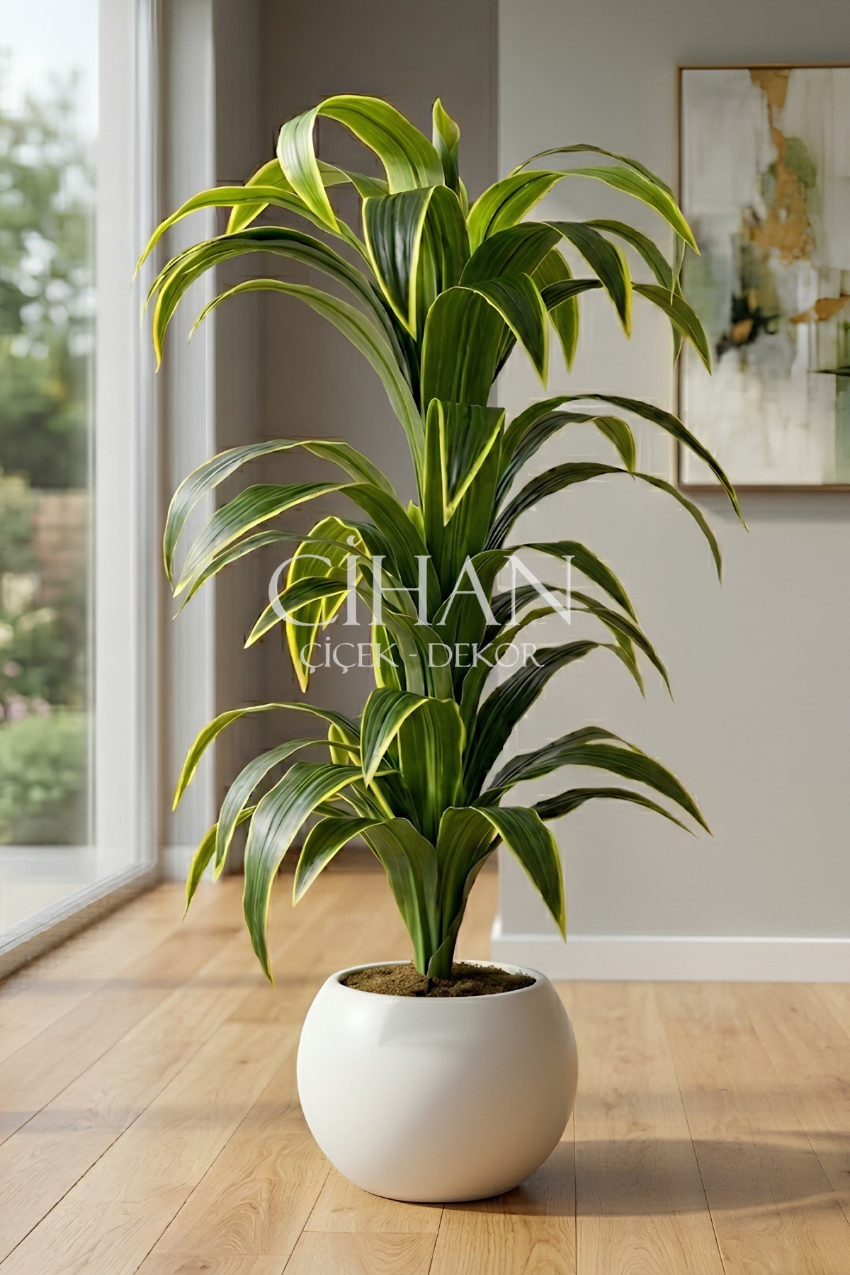 Küre Saksılı Yapay 150 cm Dracaena Fragrans Ağacı