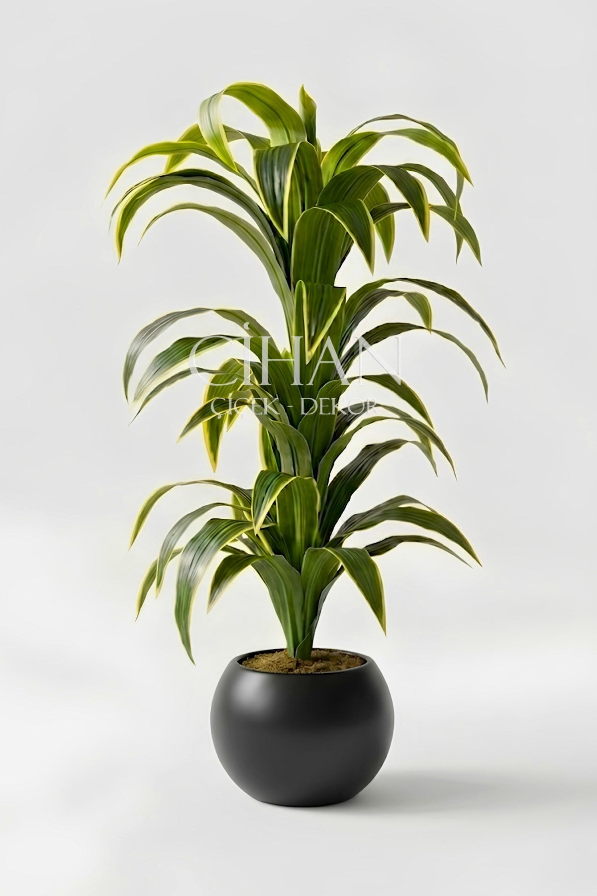 Küre Saksılı Yapay 150 cm Dracaena Fragrans Ağacı