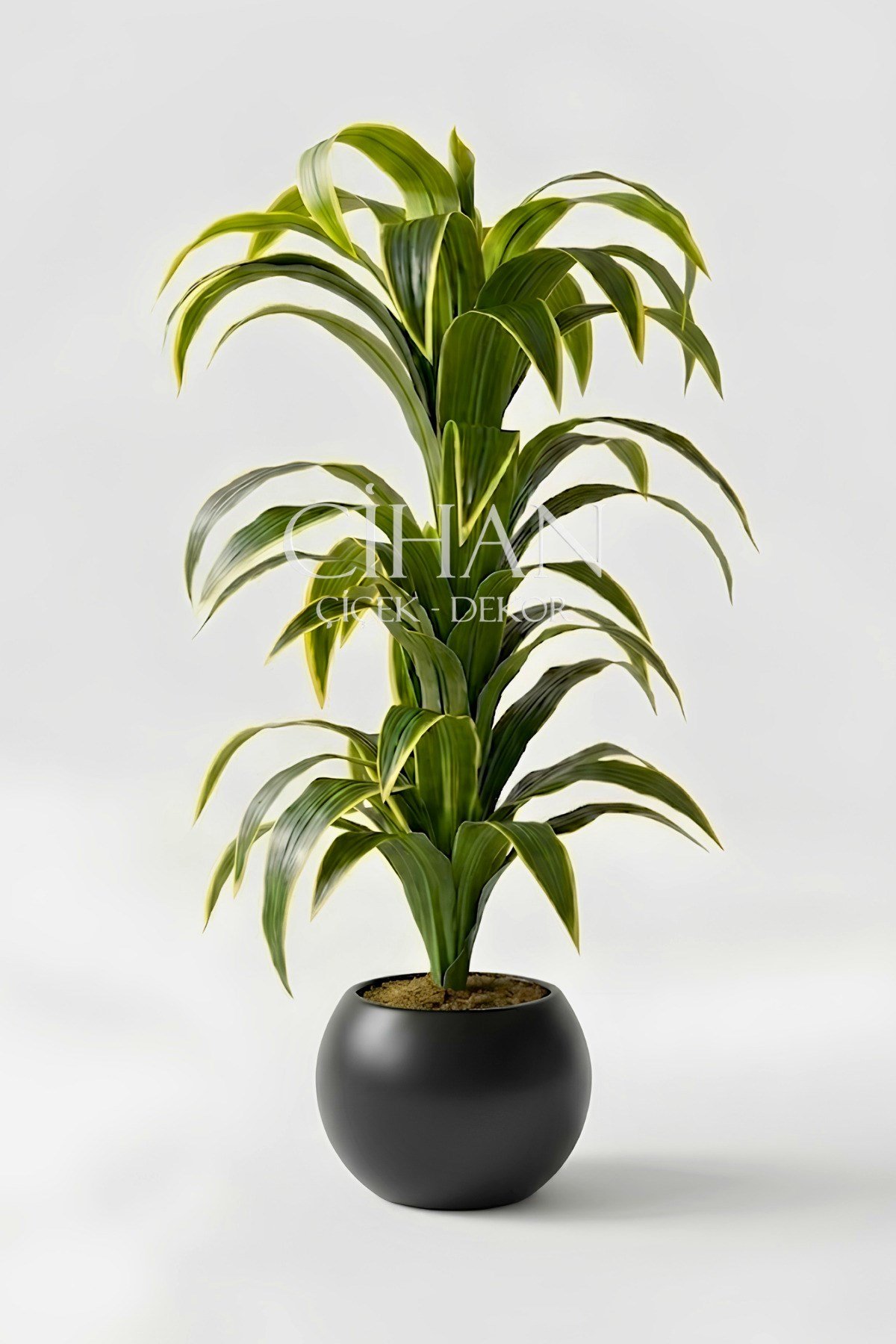 Küre Saksılı Yapay 150 cm Dracaena Fragrans Ağacı