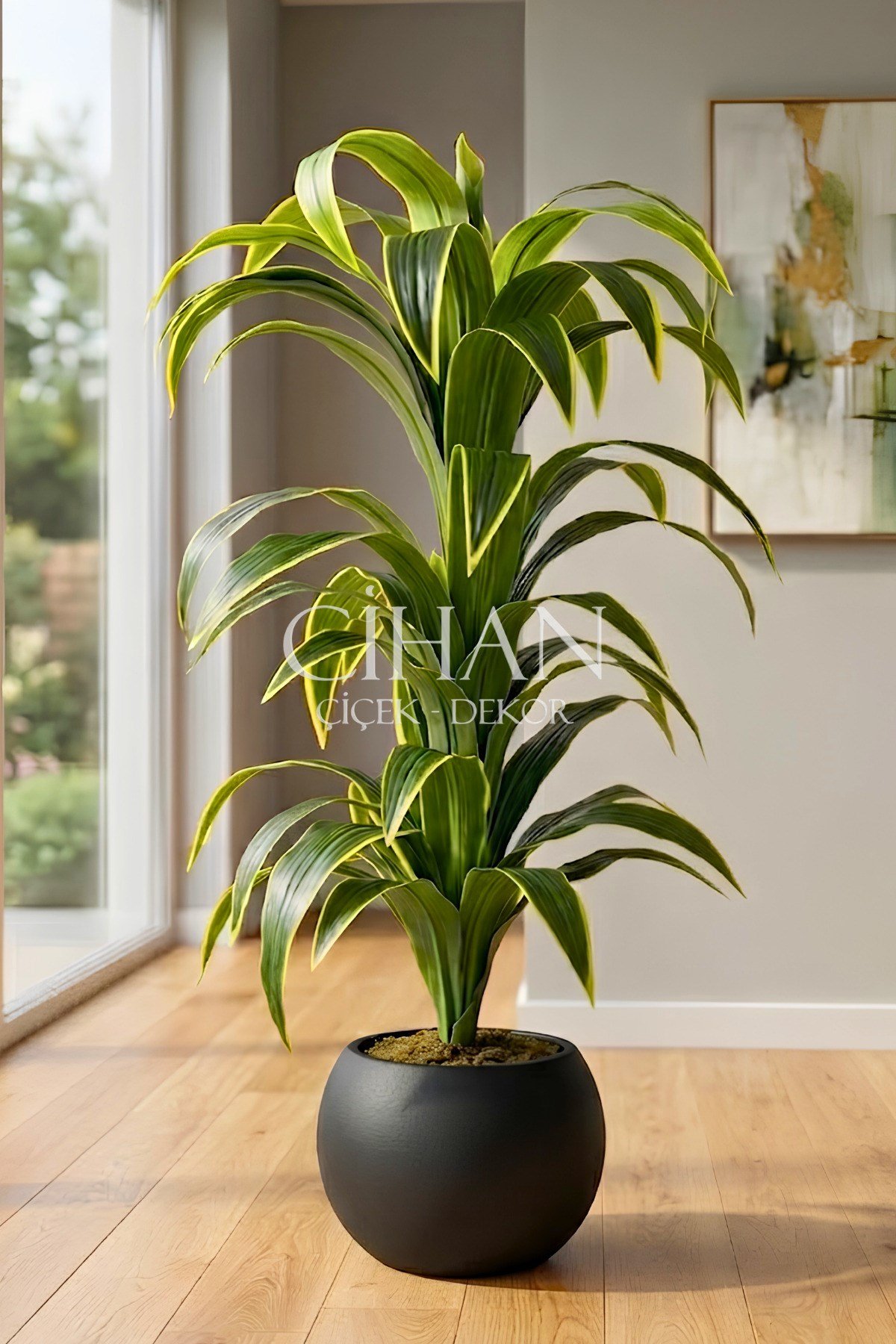 Küre Saksılı Yapay 150 cm Dracaena Fragrans Ağacı