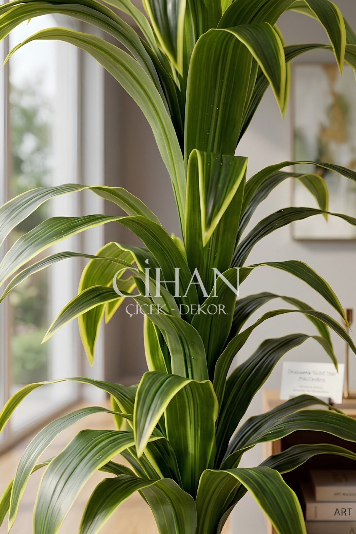 Küre Saksılı Yapay 150 cm Dracaena Fragrans Ağacı