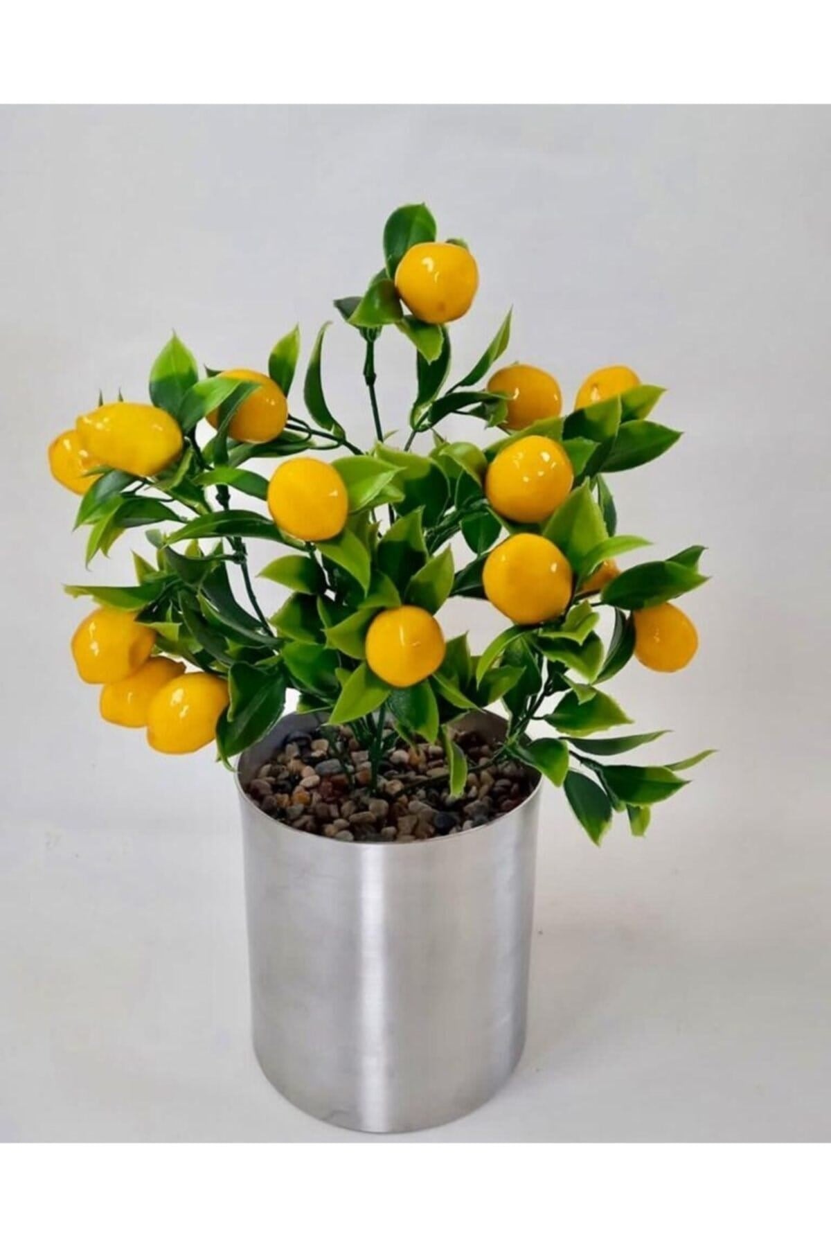Limon Ağacı Metal Saksıda 35 Cm