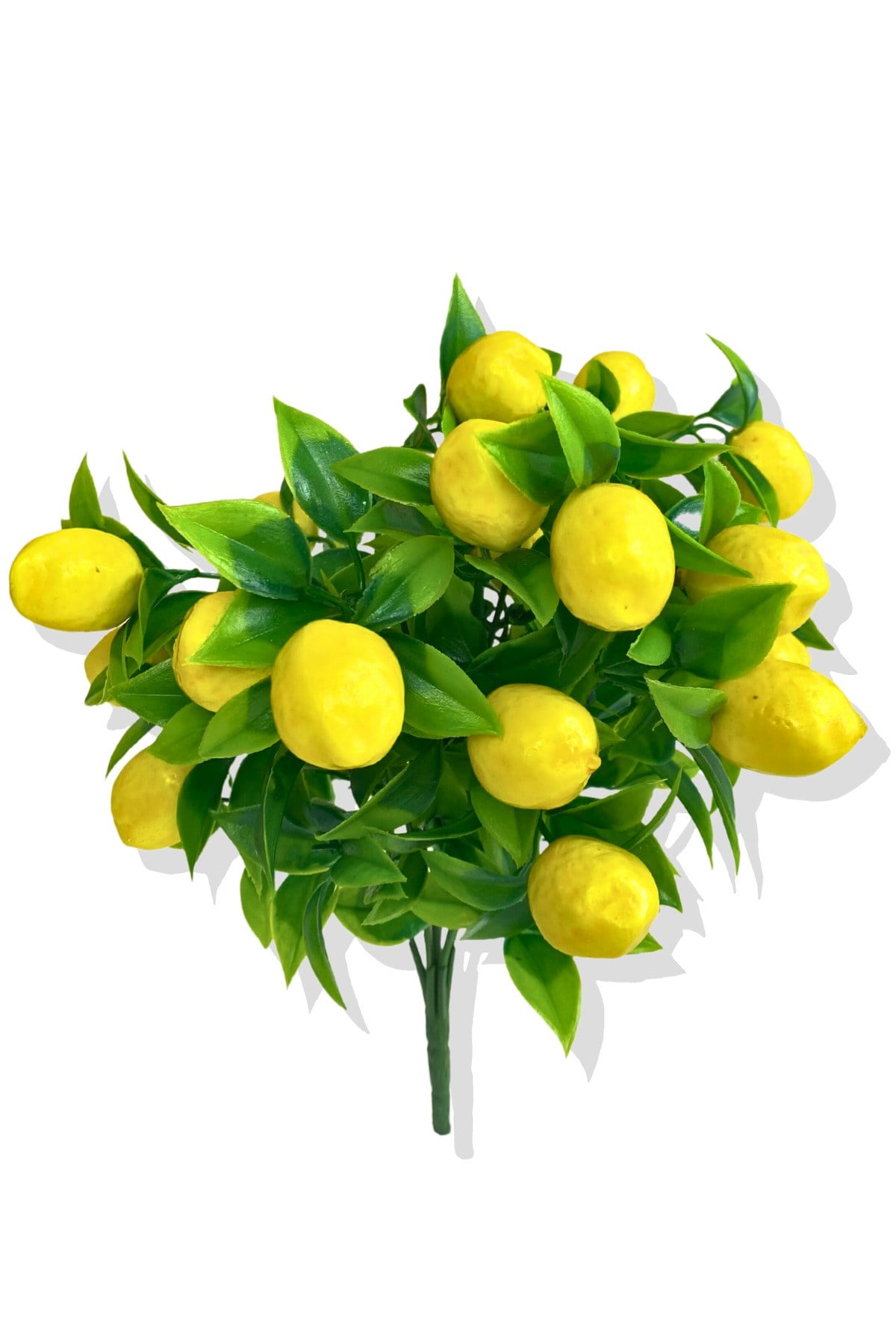 Limon Demet
