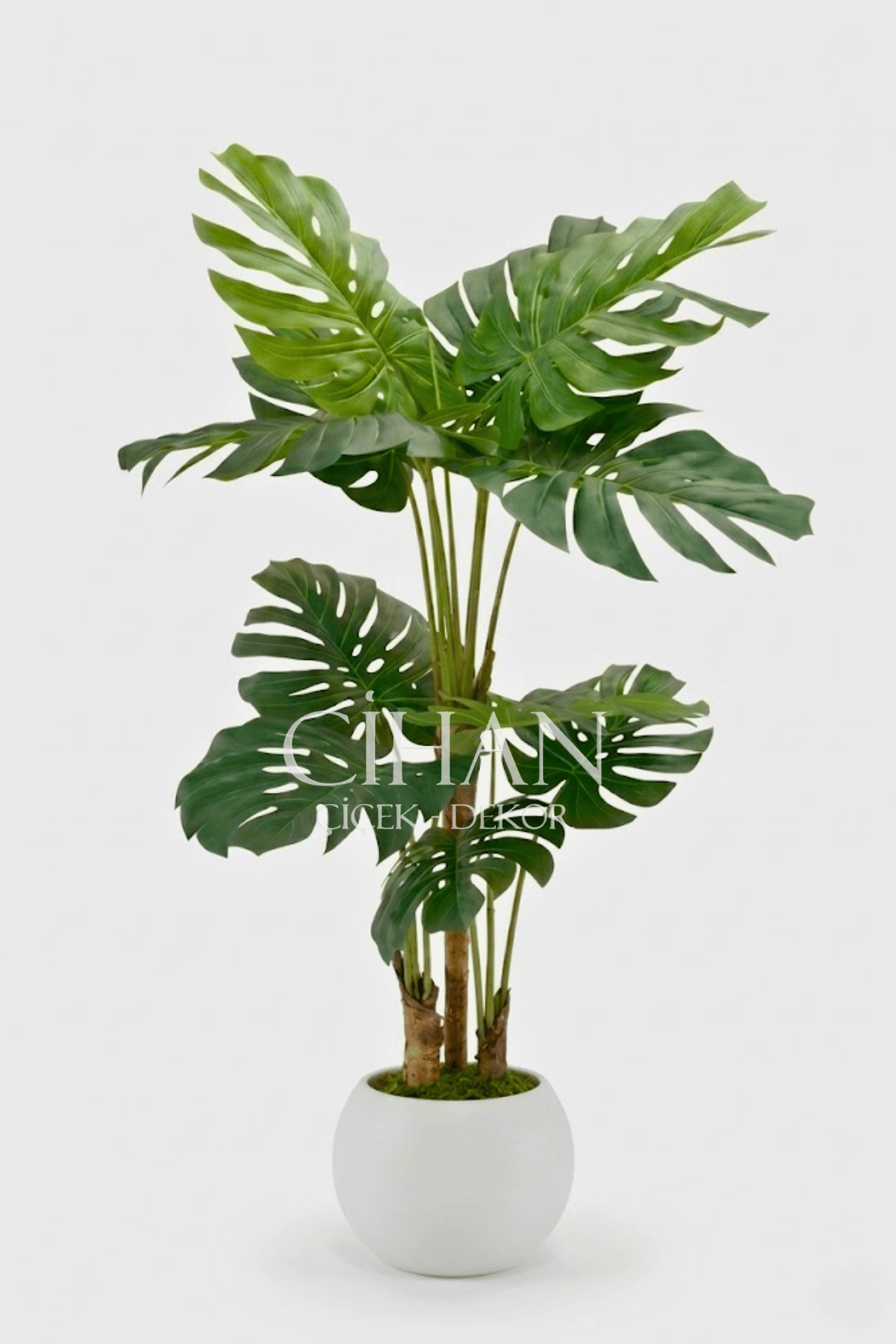 Monstera Yapay Ağaç 170 Cm