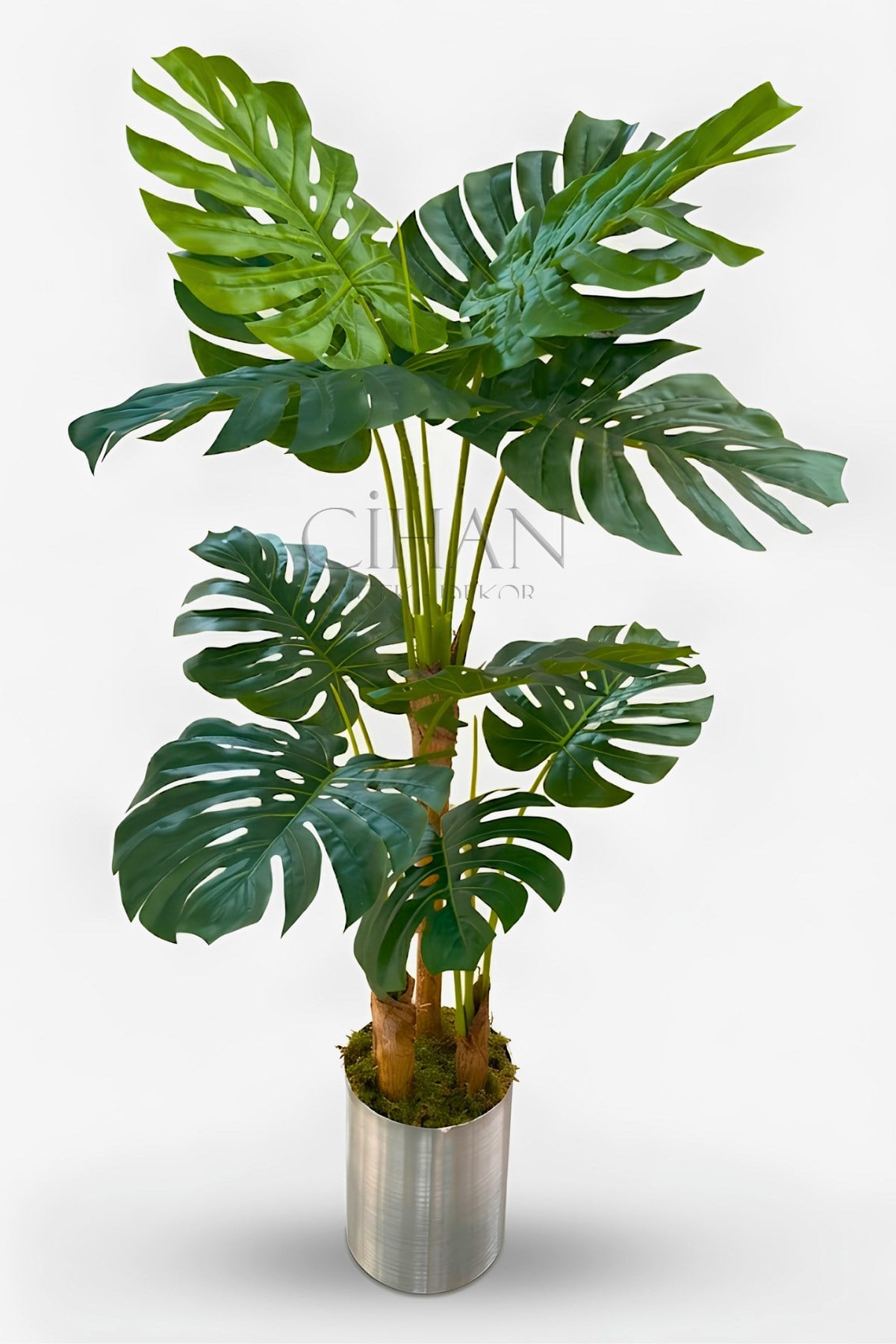 Monstera Yapay Ağaç 170 Cm