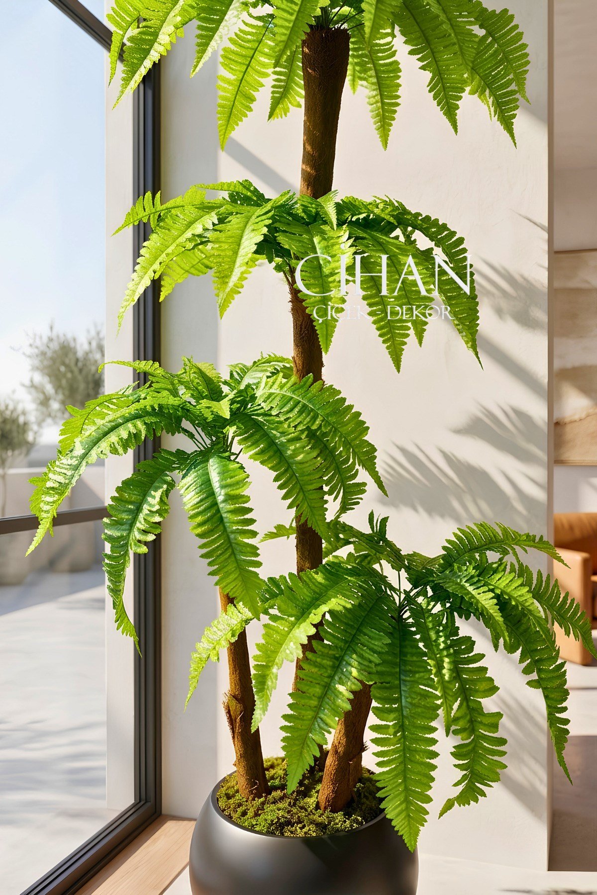 Premium 3 Gövdeli Yapay Çikas Palmiye Ağacı 170 cm 27*33 Küre Saksılı
