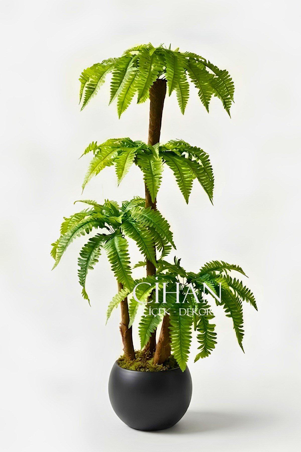 Premium 3 Gövdeli Yapay Çikas Palmiye Ağacı 170 cm 27*33 Küre Saksılı