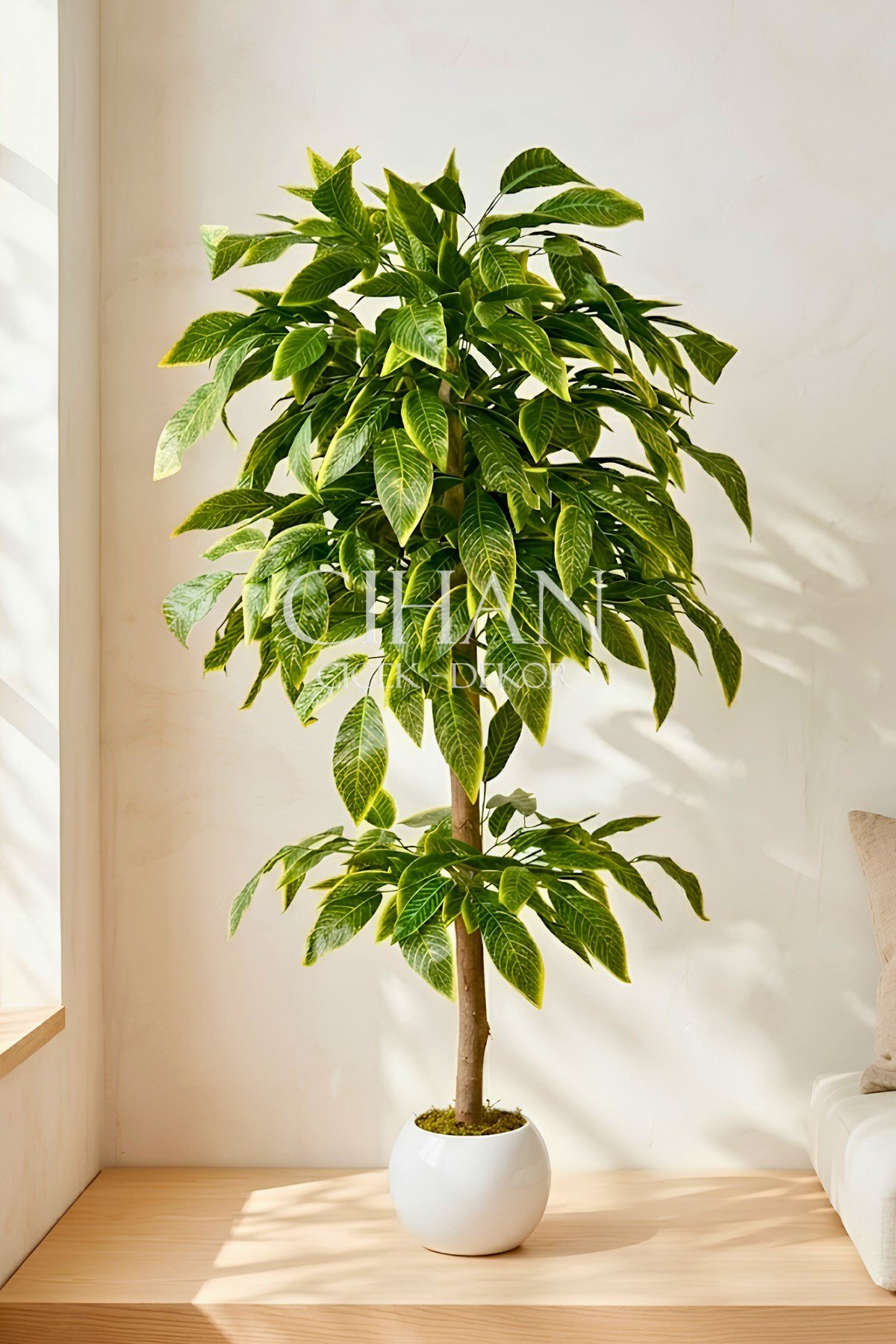 Premium Kalite Yapay Ceviz Ağacı 180 cm 27x33 Küre Saksı