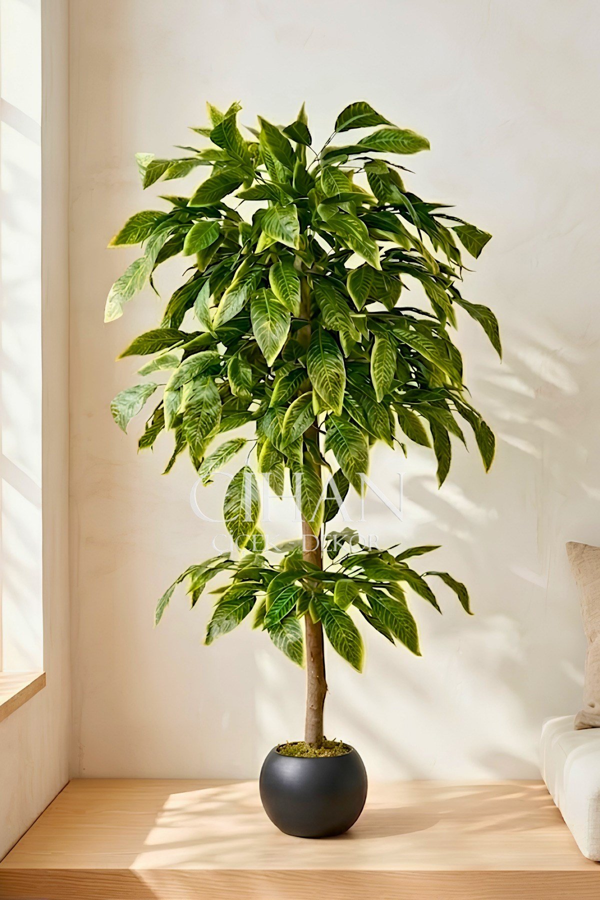 Premium Kalite Yapay Ceviz Ağacı 180 cm 27x33 Küre Saksı