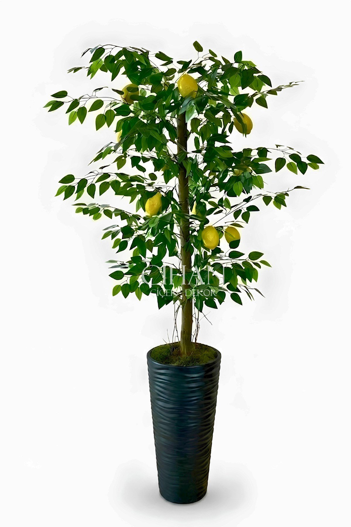 Premium Yapay Limon Ağacı 170 cm - 8 Limonlu 56X30X20 Kumsal Saksılı