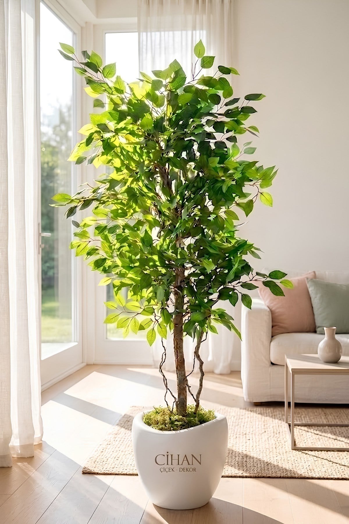 Premium Yapay Yeşil Benjamin Ağacı 150 cm - 32*28.5 Plastik Lale Saksılı