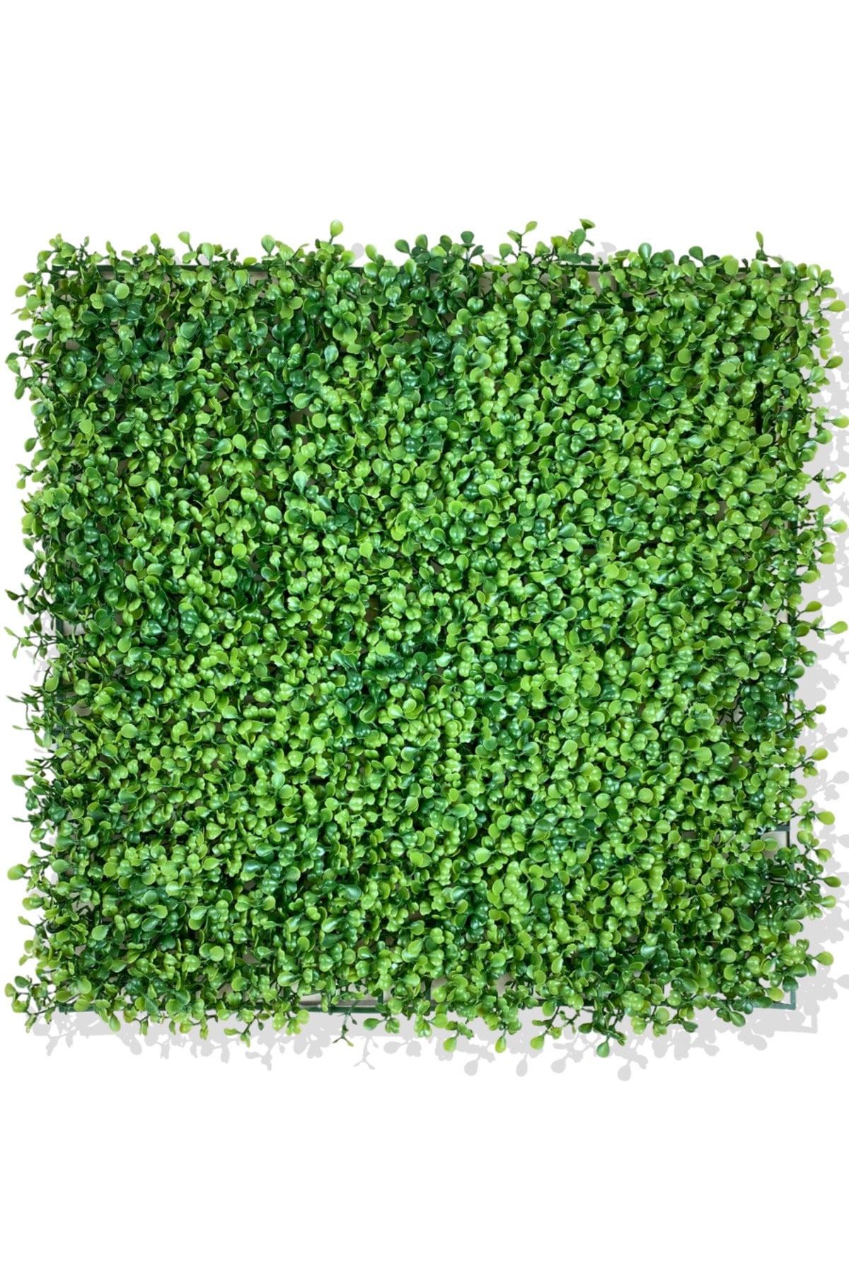 U.V DAYANIMLI YAPAY ŞİMŞİR BİTKİ DUVAR KAPLAMA 50X50 CM YEŞİL