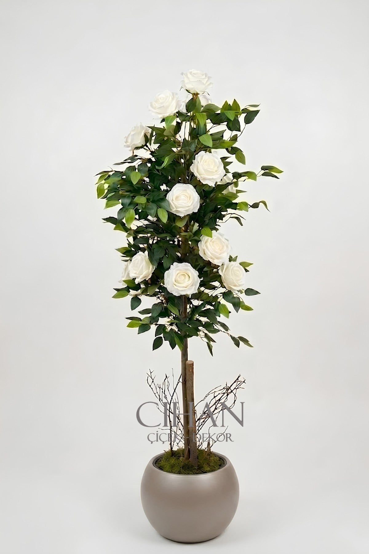 Yapay 10 Güllü Beyaz Gül Ağacı 150 cm 27x33 Mocha Küre Saksılı