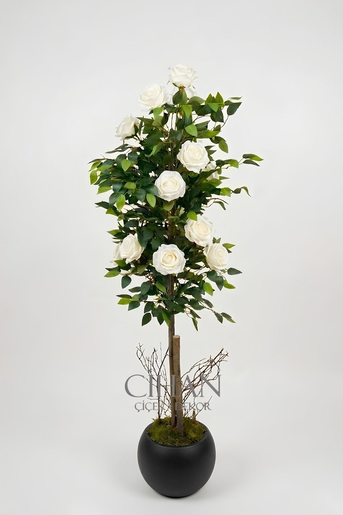 Yapay 10 Güllü Beyaz Gül Ağacı 150 cm 27x33 Siyah Küre Saksılı