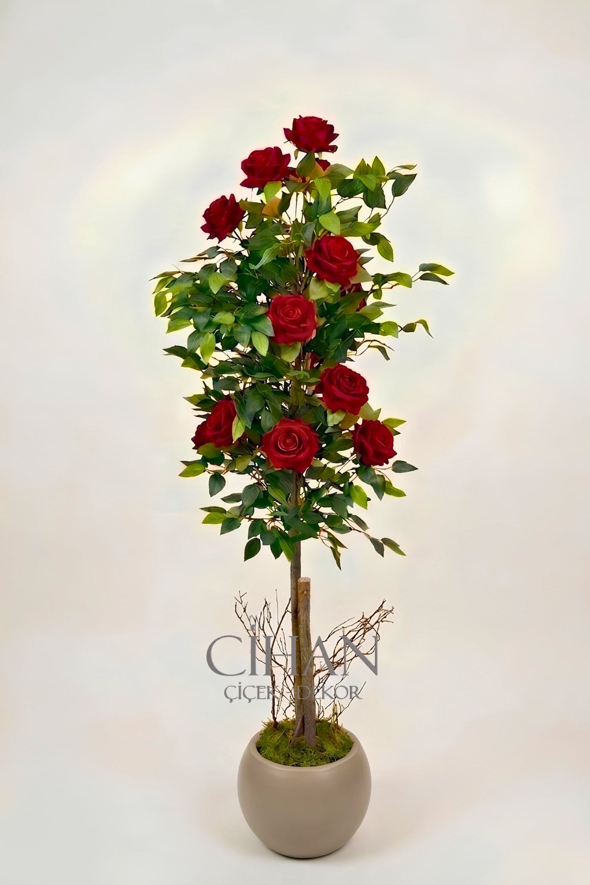 Yapay 10 Güllü Kırmızı Gül Ağacı 150 cm 27x33 Mocha Küre Saksılı