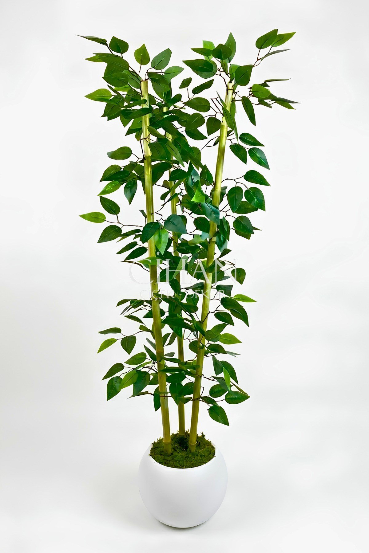 Yapay 3 Bambulu Benjamin Ağacı 110 cm - 27*33 Beyaz Küre Saksılı