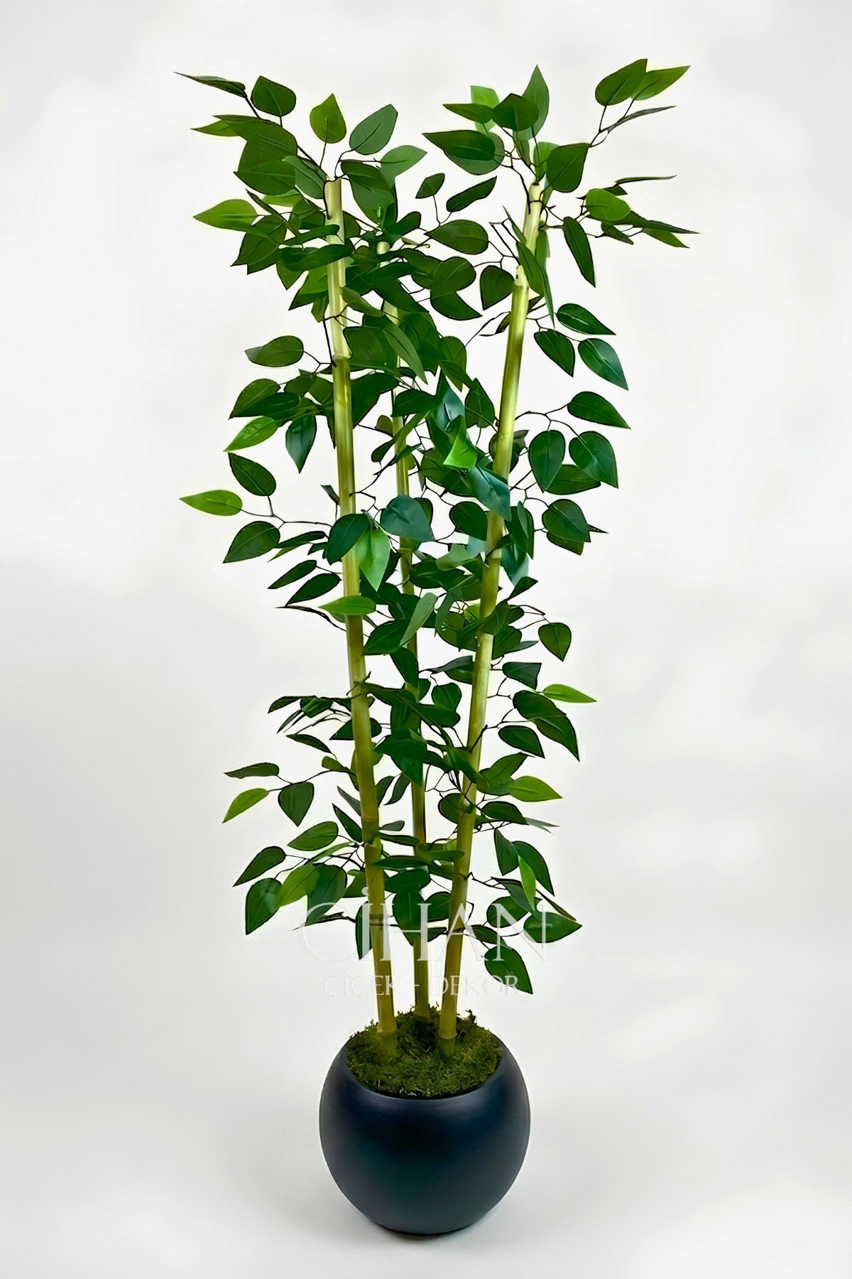Yapay 3 Bambulu Benjamin Ağacı 110 cm - 27*33 Siyah Küre Saksılı