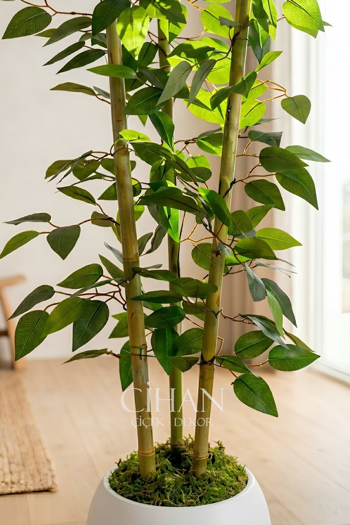 Yapay 3 Bambulu Benjamin Ağacı 110 cm - 27*33 Beyaz Küre Saksılı
