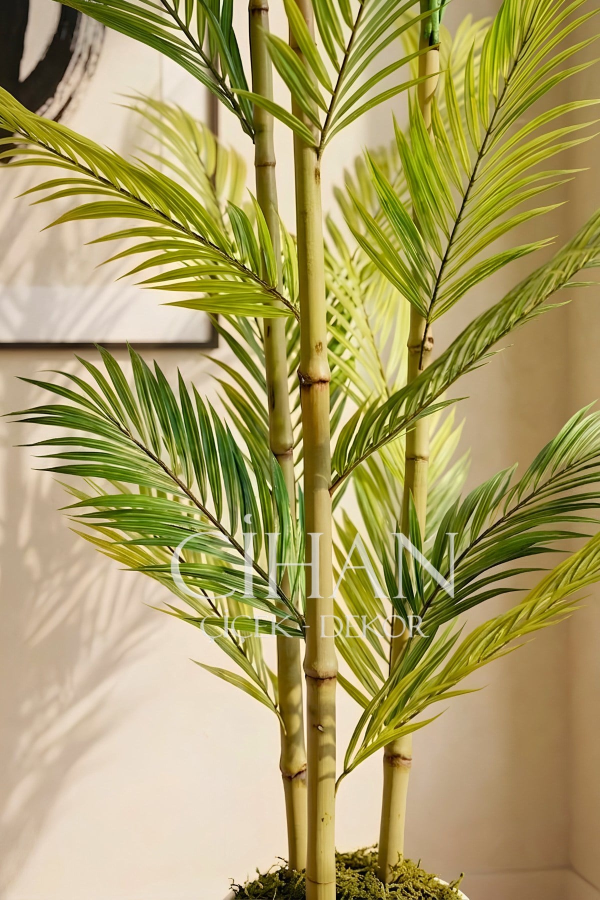 Yapay 3 Bambulu Çikas Palmiye Ağacı 150 cm 27*33 Küre Saksılı