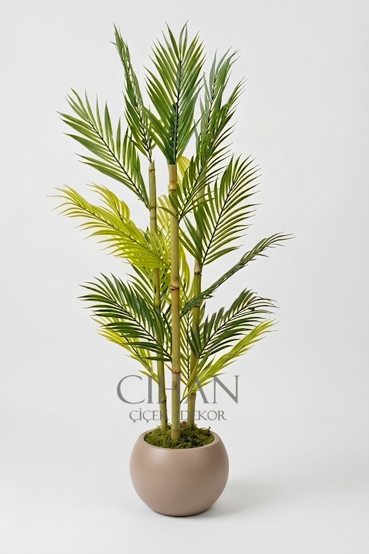 Yapay 3 Bambulu Çikas Palmiye Ağacı 150 cm 27*33 Küre Saksılı