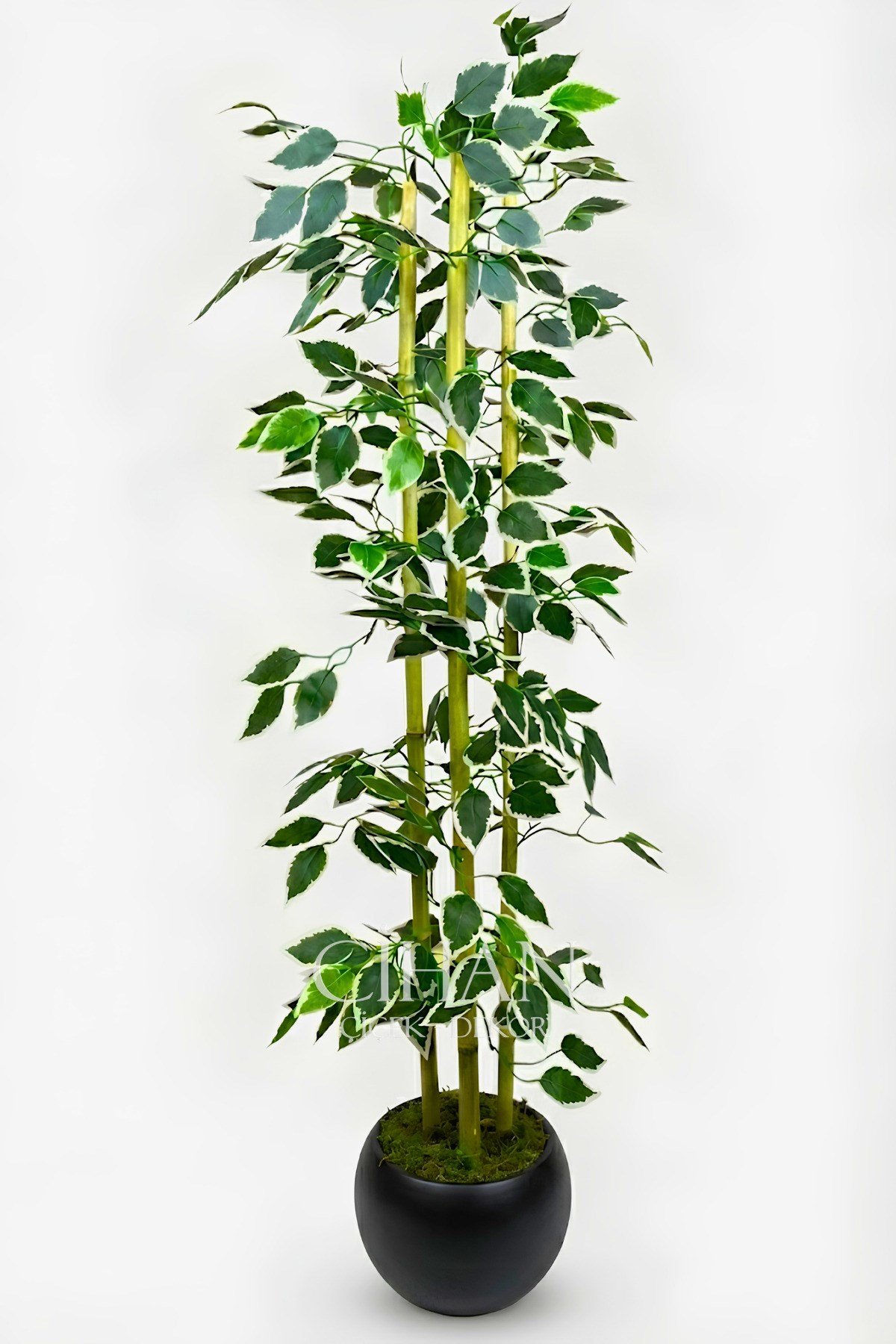 Yapay Alacalı Ficus Ağacı 3 Bambulu 110 cm 27*33 Siyah Küre Saksılı