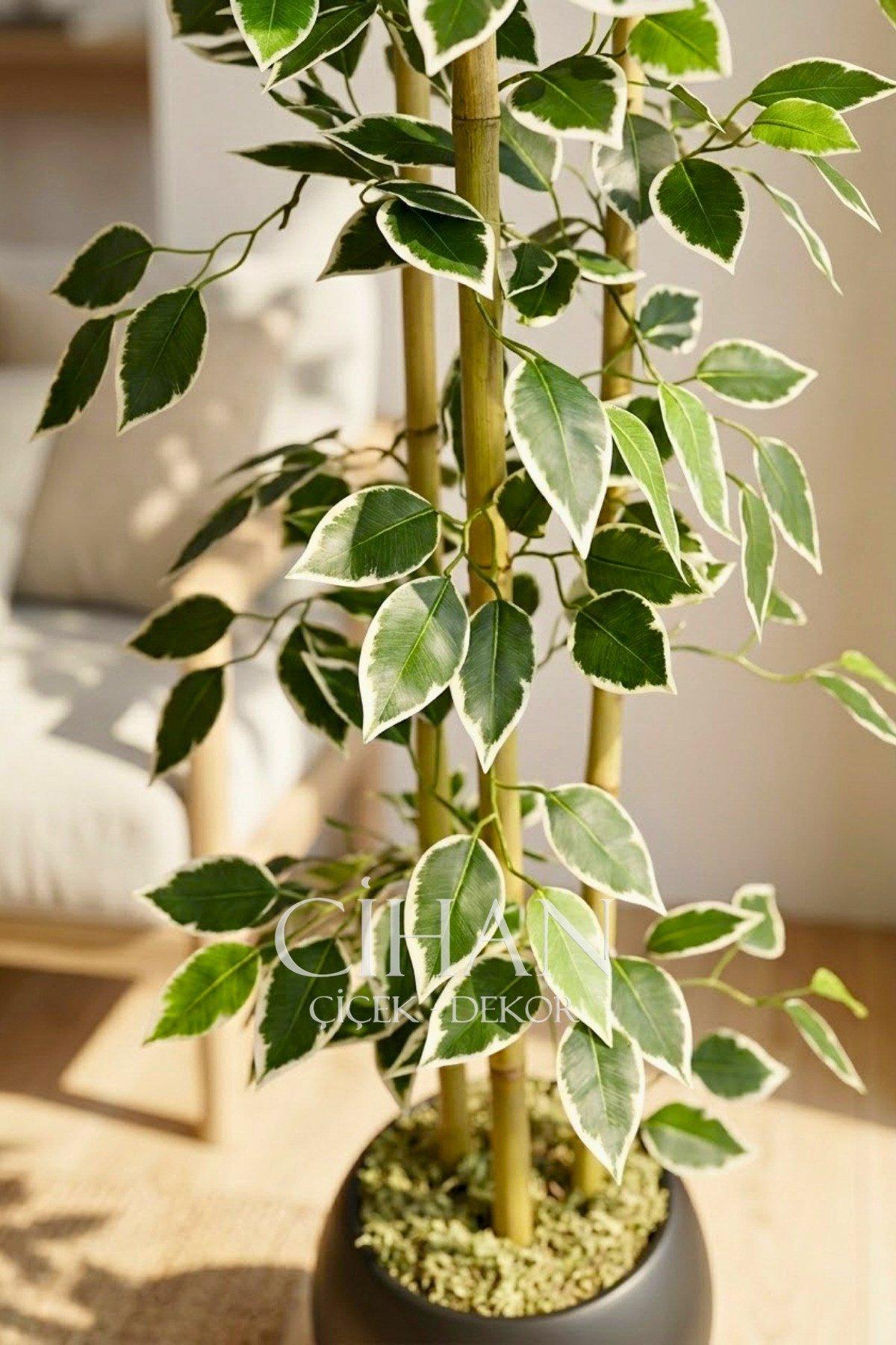 Yapay Alacalı Ficus Ağacı 3 Bambulu 110 cm 27*33 Siyah Küre Saksılı