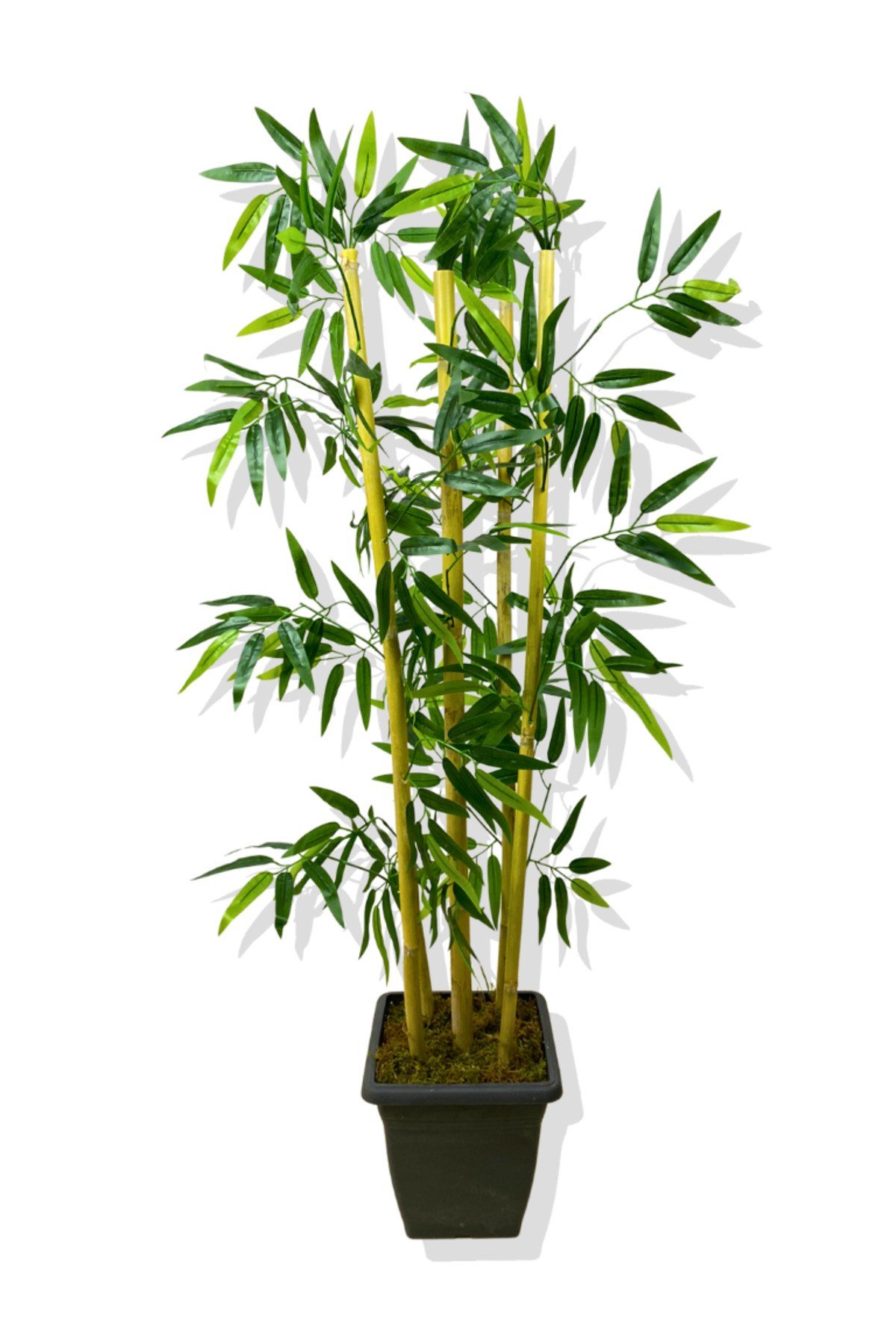 Yapay Bambu Ağaç 110 Cm 5 Bambulu Siyah Saksı