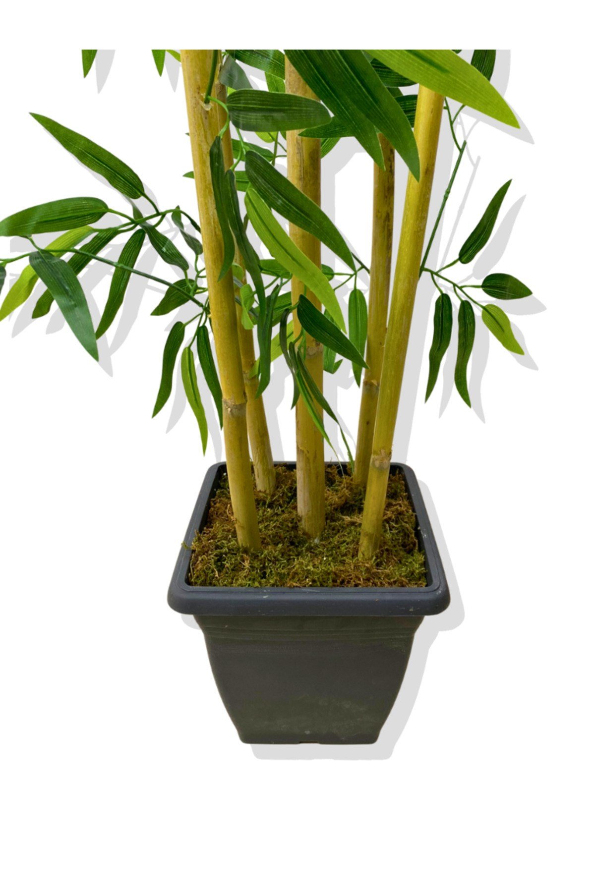 Yapay Bambu Ağaç 110 Cm 5 Bambulu Siyah Saksı