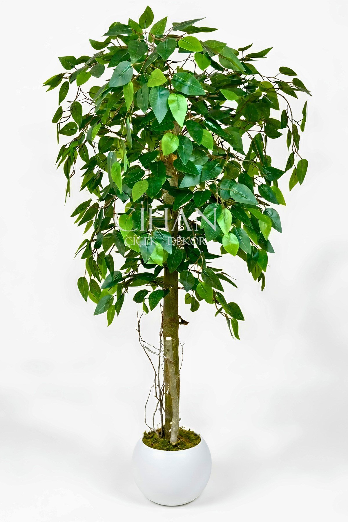 Yapay Benjamin Ağacı 27x33 Küre Saksılı 140 cm