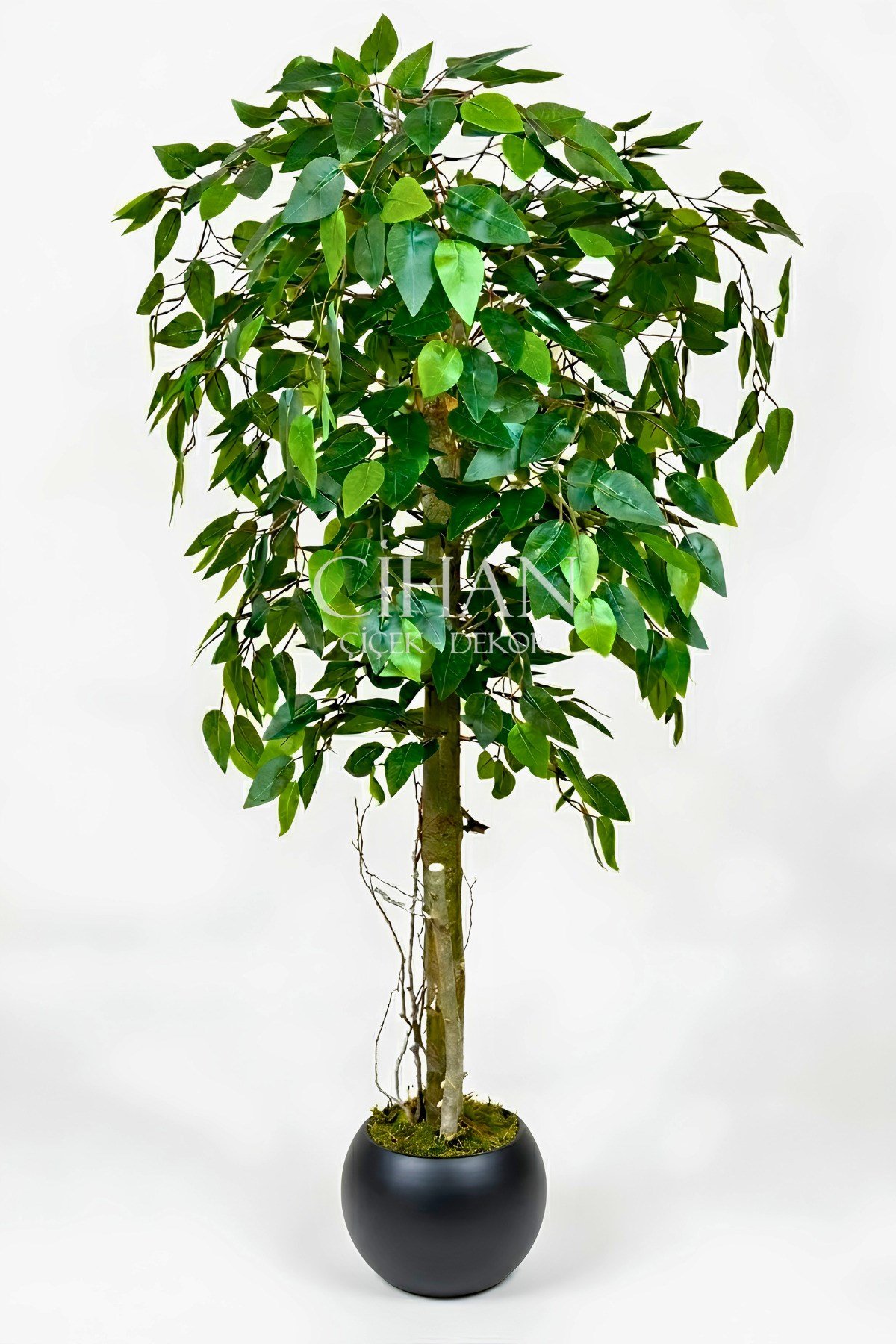Yapay Benjamin Ağacı 27x33 Küre Saksılı 140 cm
