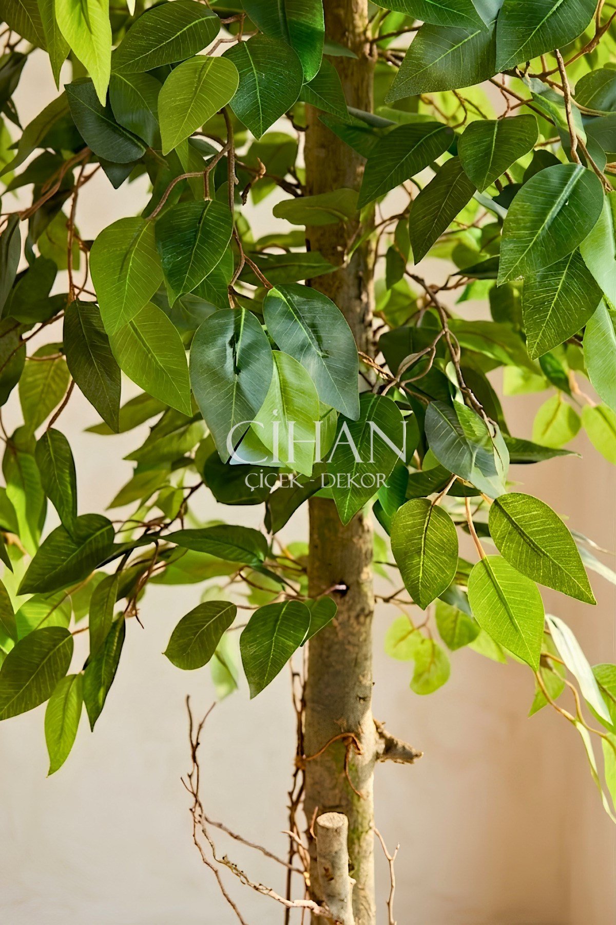 Yapay Benjamin Ağacı 27x33 Küre Saksılı 140 cm