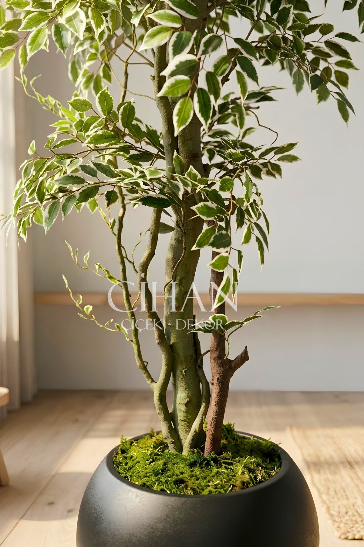 Yapay Benjamin Starlight Ağacı 180 cm - Küre Saksılı