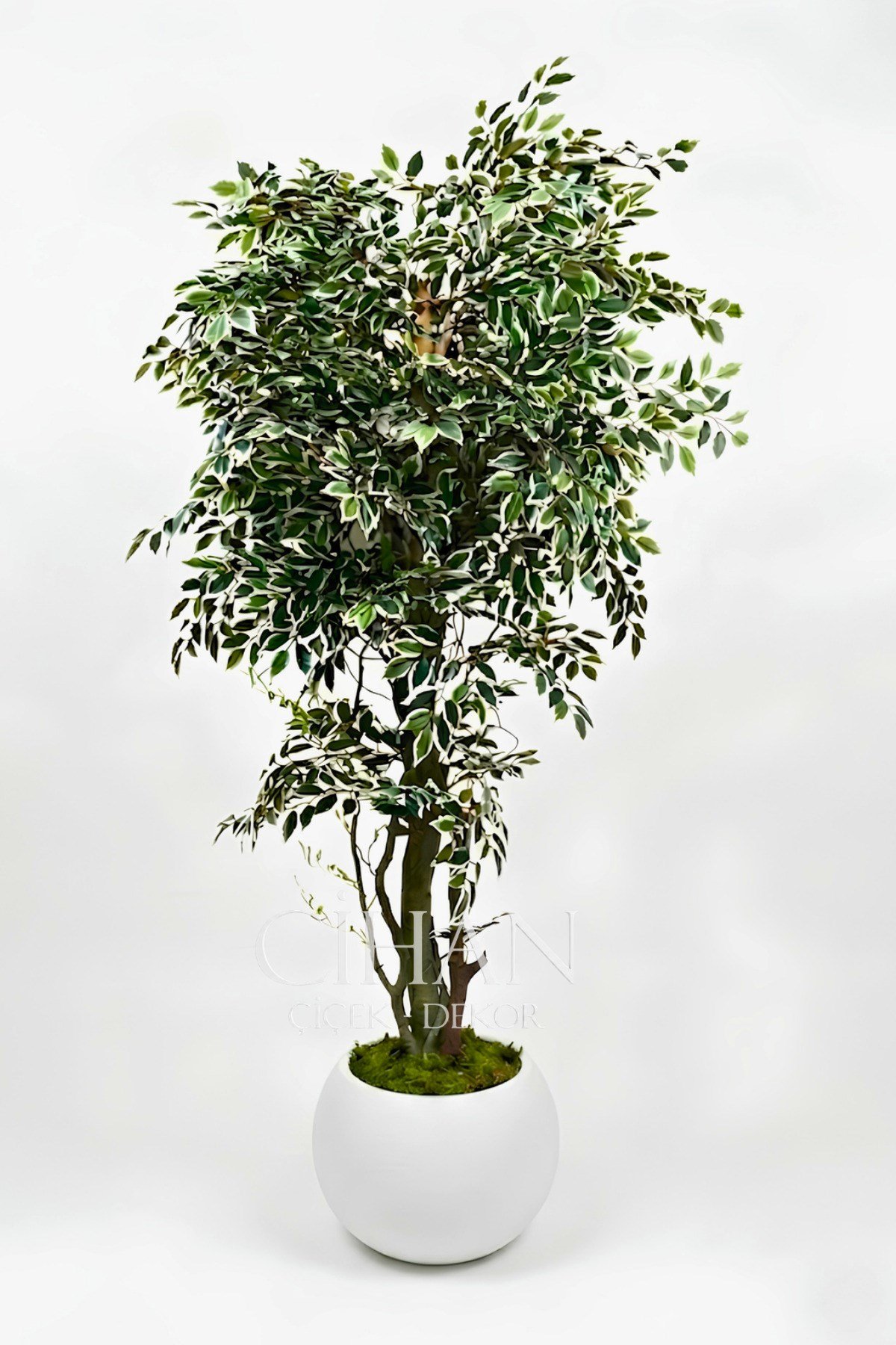 Yapay Benjamin Starlight Ağacı 180 cm - Küre Saksılı