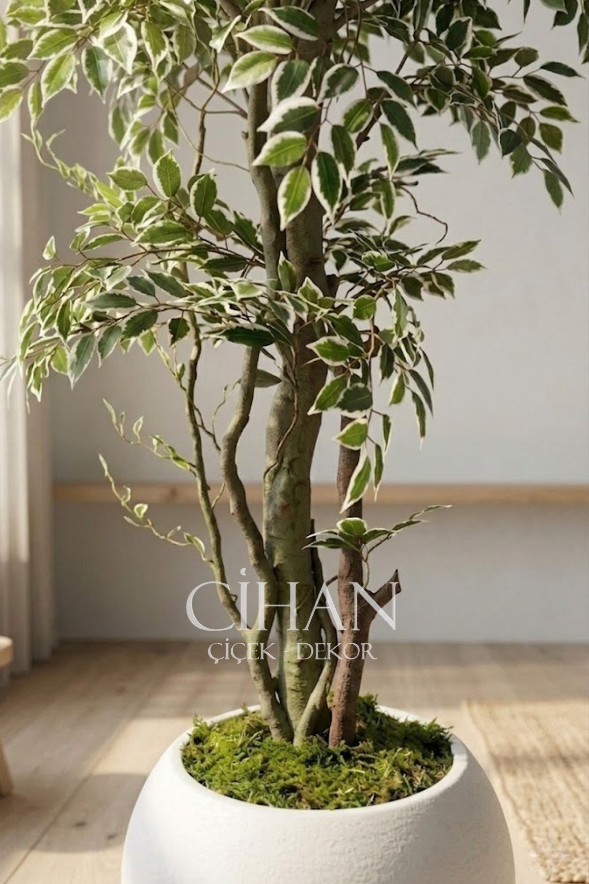 Yapay Benjamin Starlight Ağacı 180 cm - Küre Saksılı