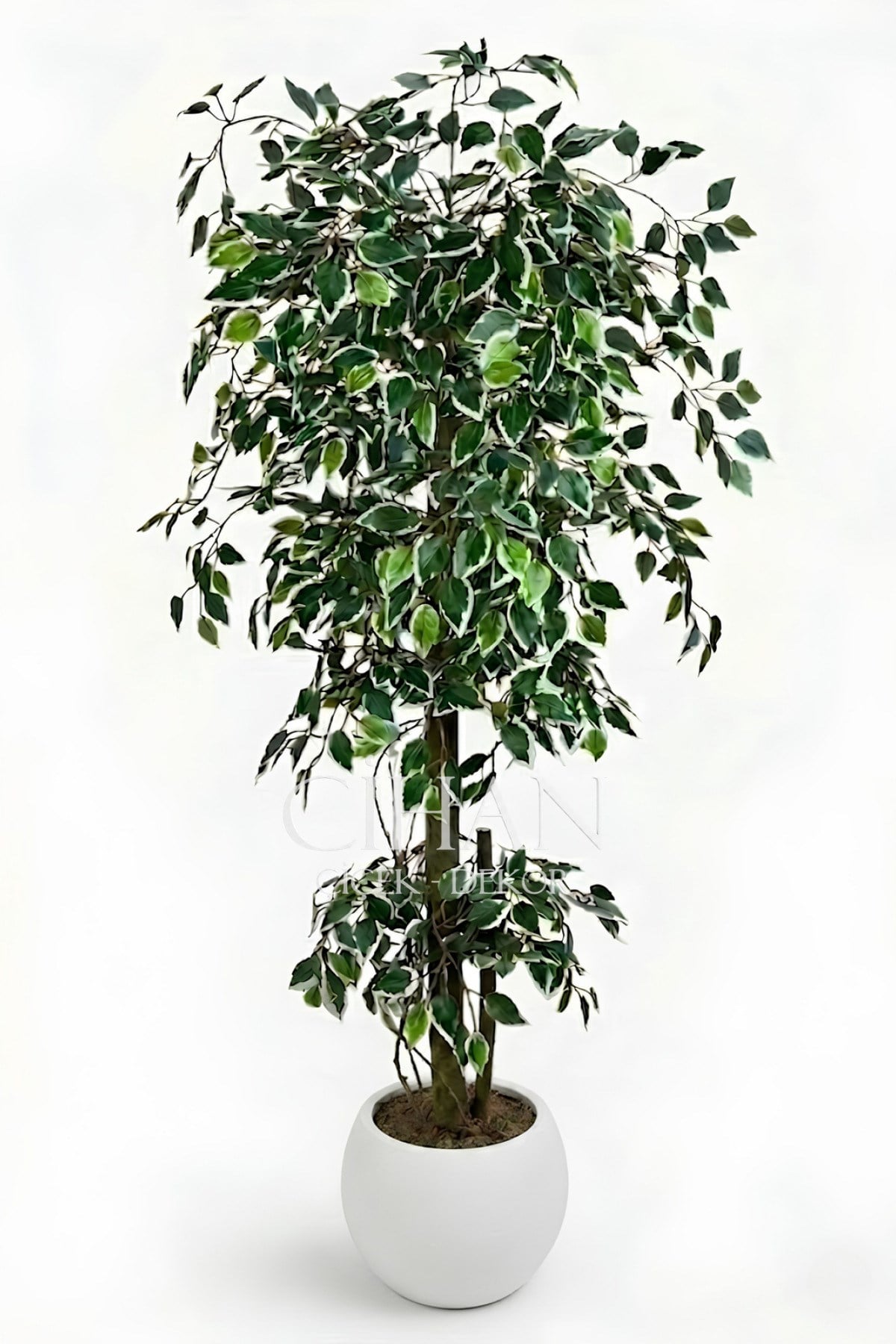 Yapay Benjamin Starlight Ağacı Beyaz-Yeşil 175 Cm Küre Saksılı