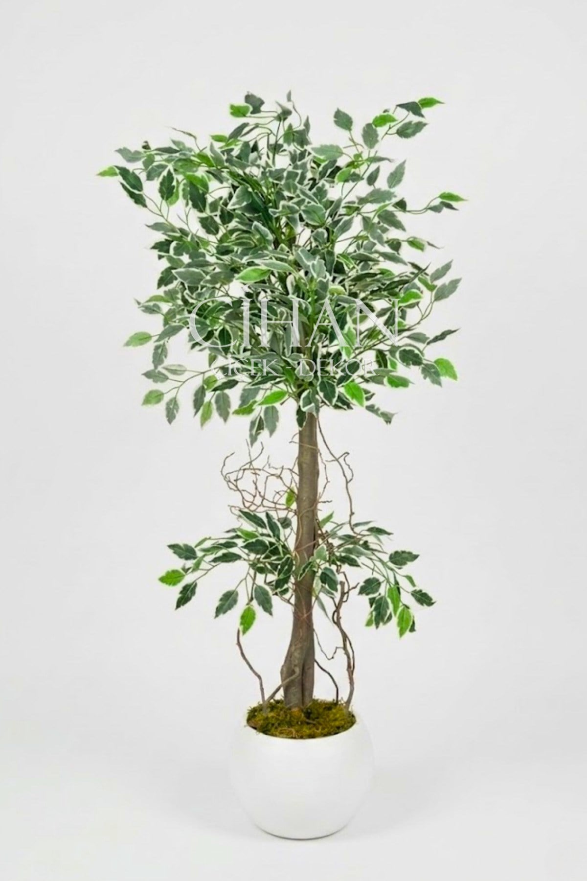 Yapay Benjamin Starlight Ağacı Beyaz-Yeşil 120 Cm Küre Saksılı