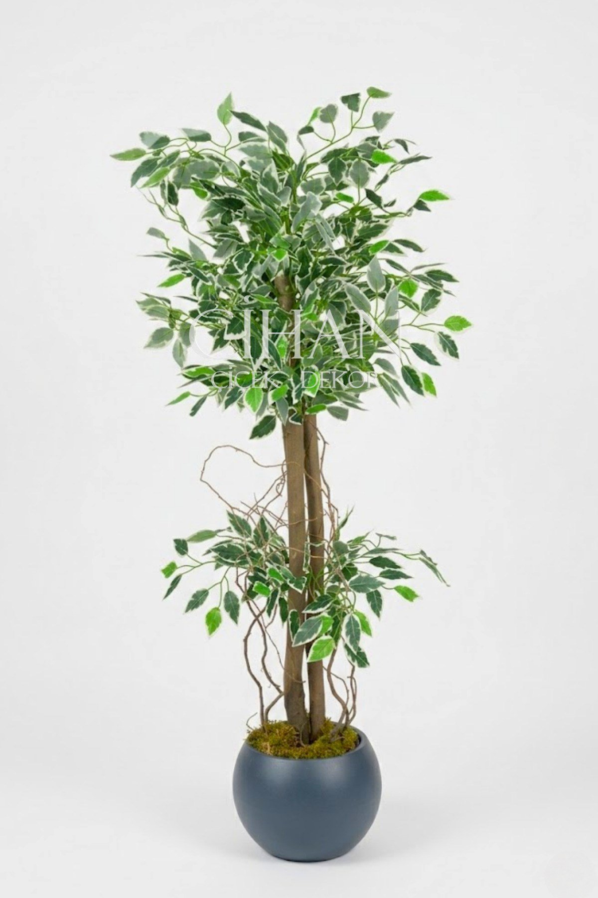 Yapay Benjamin Starlight Ağacı Beyaz-Yeşil 120 Cm Küre Saksılı