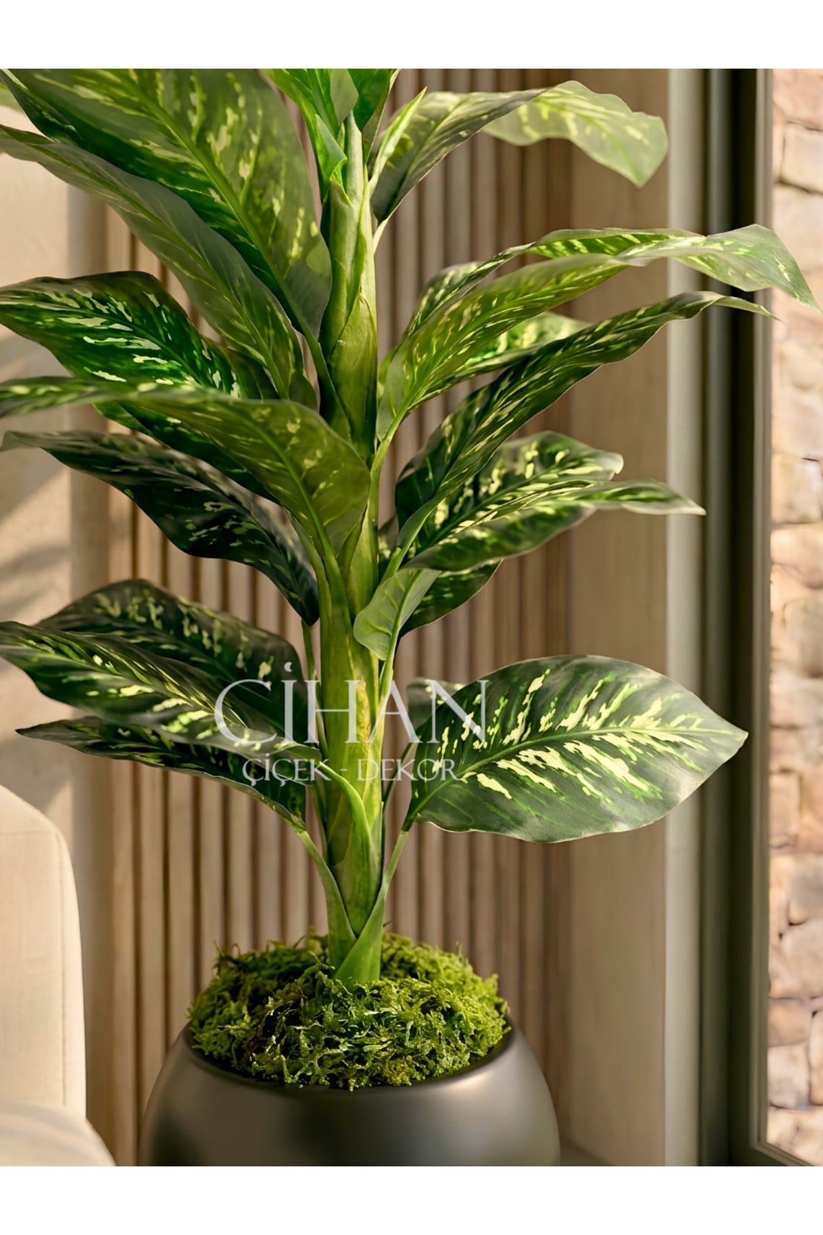 Yapay Difenbahya Ağacı 120 cm 27x33 cm Siyah Küre Saksı