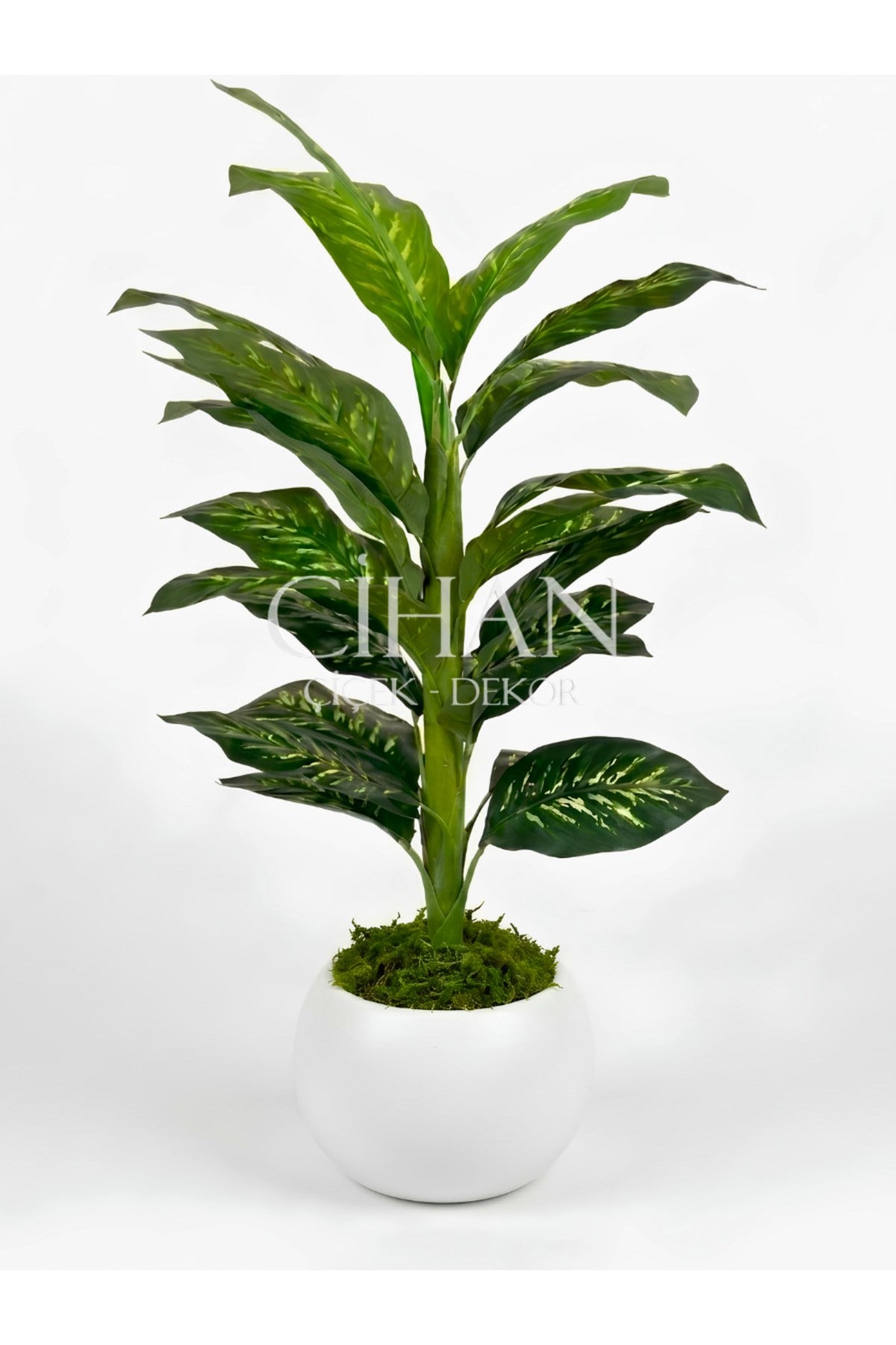 Yapay Difenbahya Ağacı 120 cm 27x33 cm Beyaz Küre Saksı