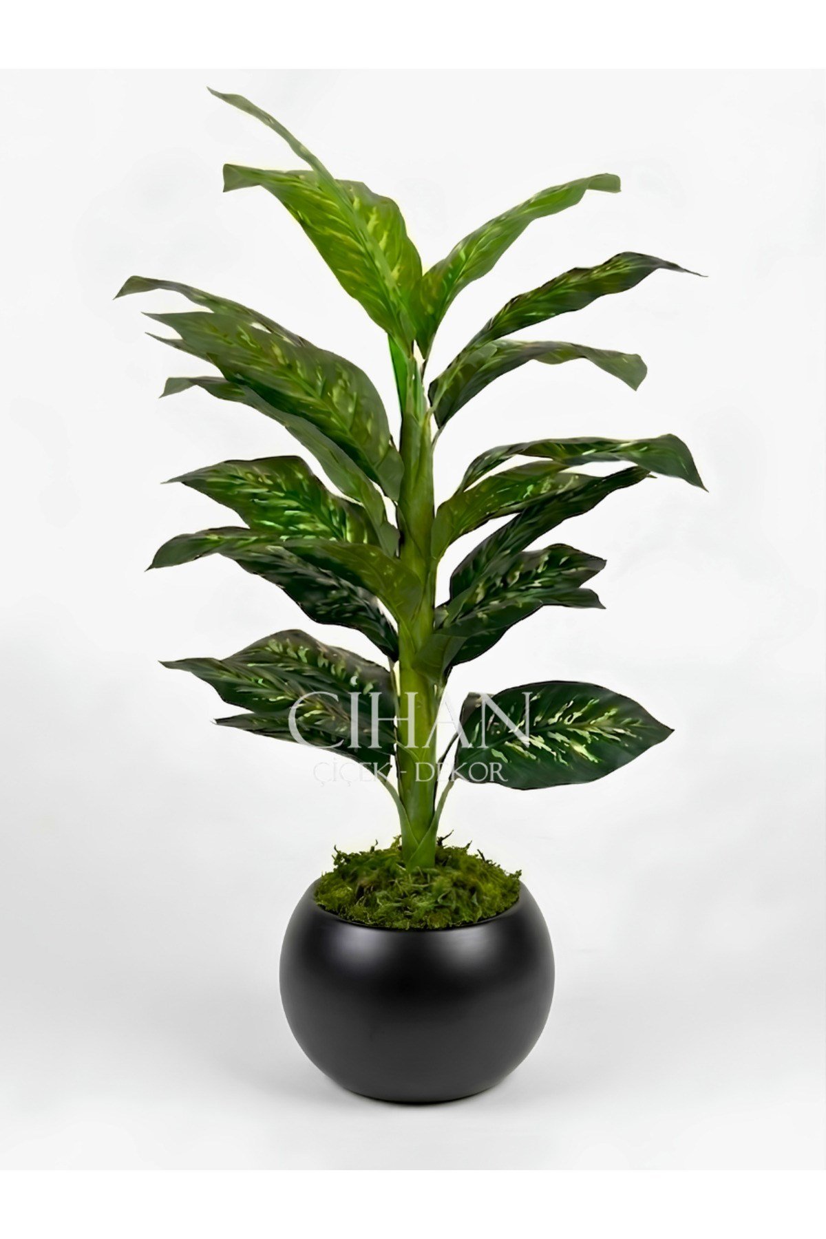 Yapay Difenbahya Ağacı 120 cm 27x33 cm Siyah Küre Saksı