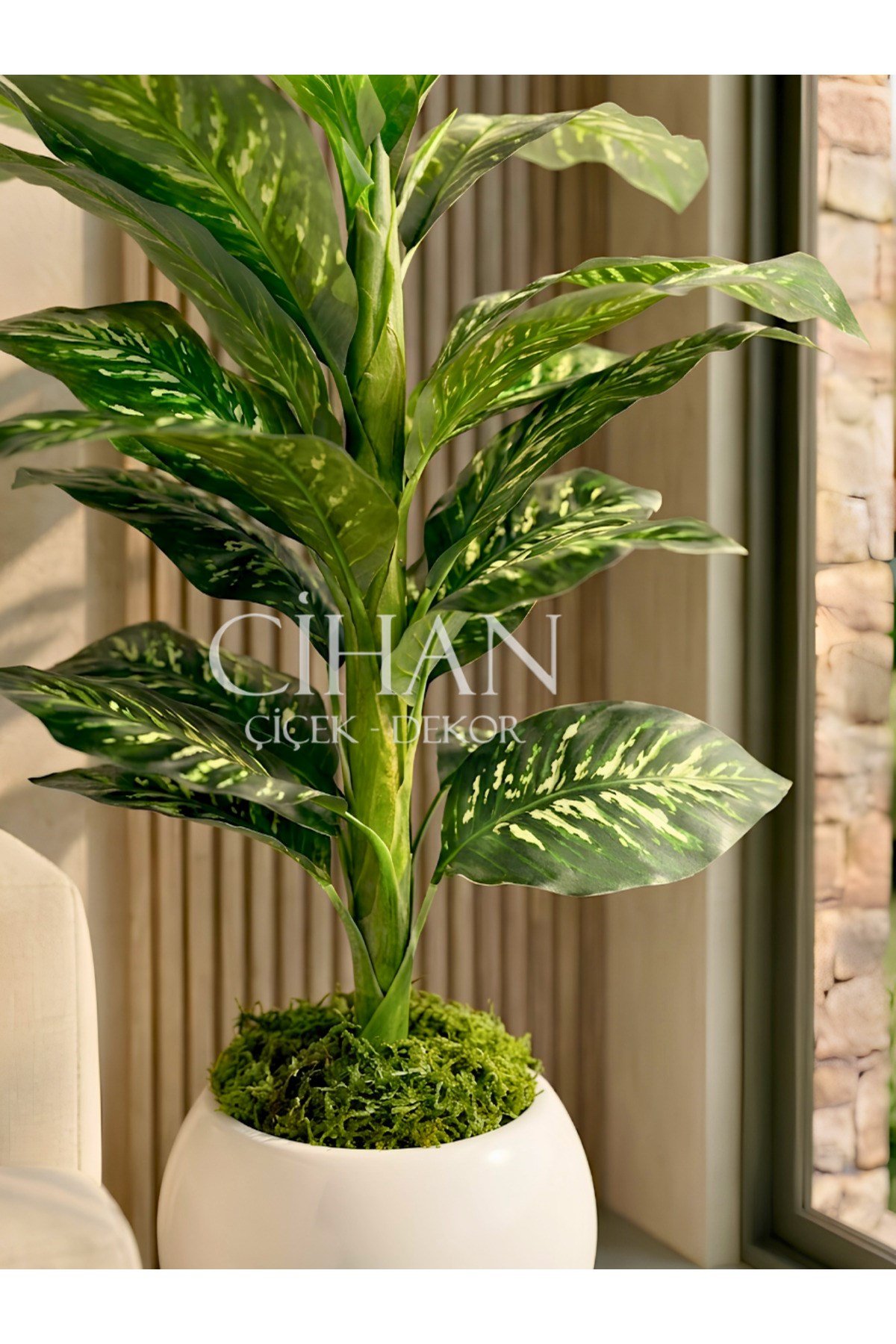 Yapay Difenbahya Ağacı 120 cm 27x33 cm Beyaz Küre Saksı