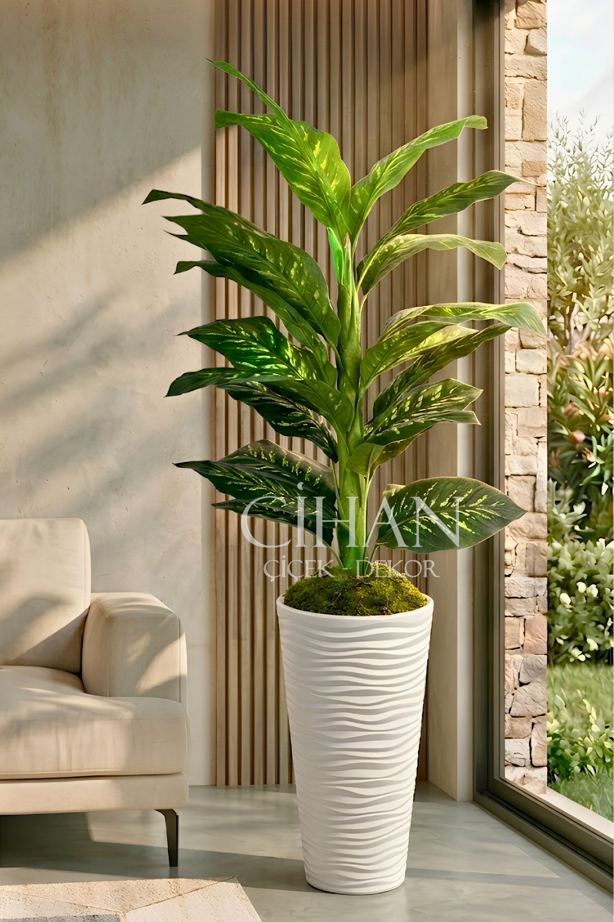 Yapay Difenbahya Ağacı - 57X30 Dekoratif Kumsal Saksılı 160 cm