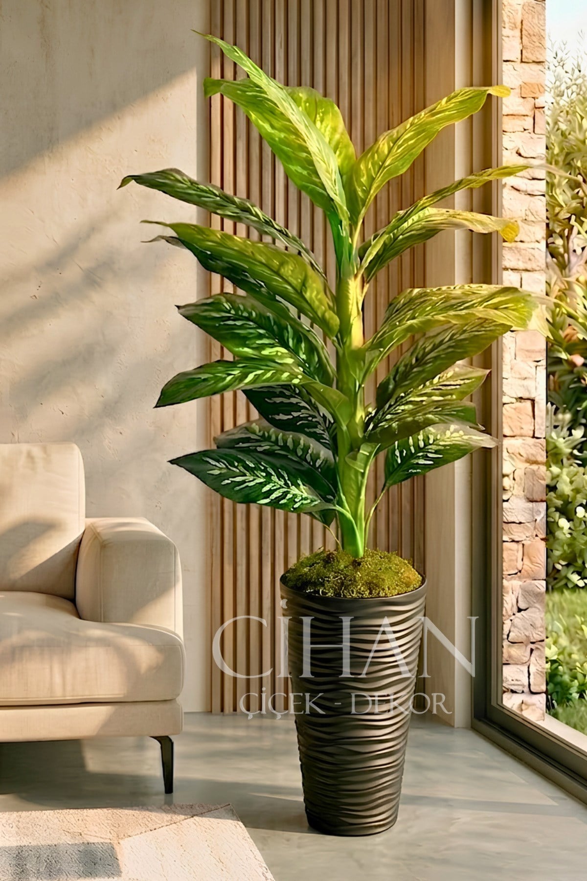 Yapay Difenbahya Ağacı - 57X30 Dekoratif Kumsal Saksılı 160 cm