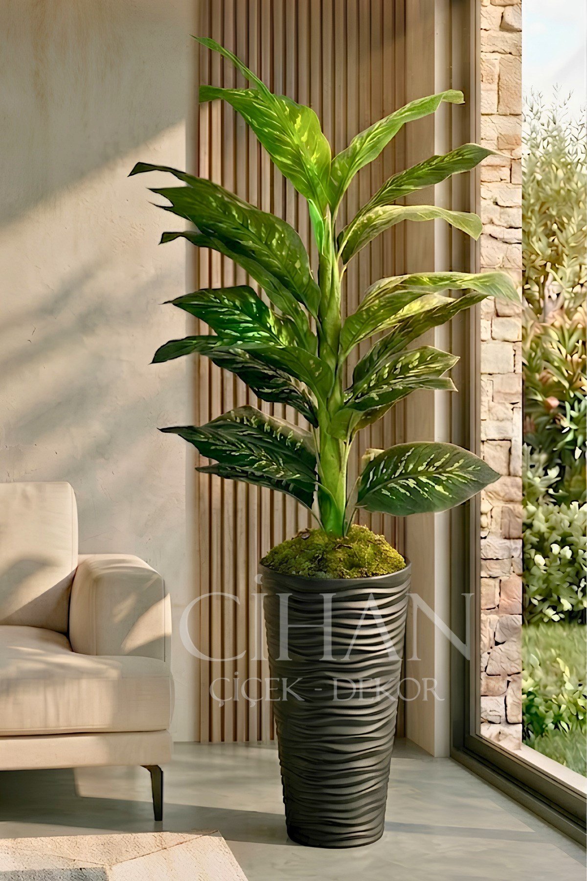 Yapay Difenbahya Ağacı - 57X30 Dekoratif Kumsal Saksılı 160 cm