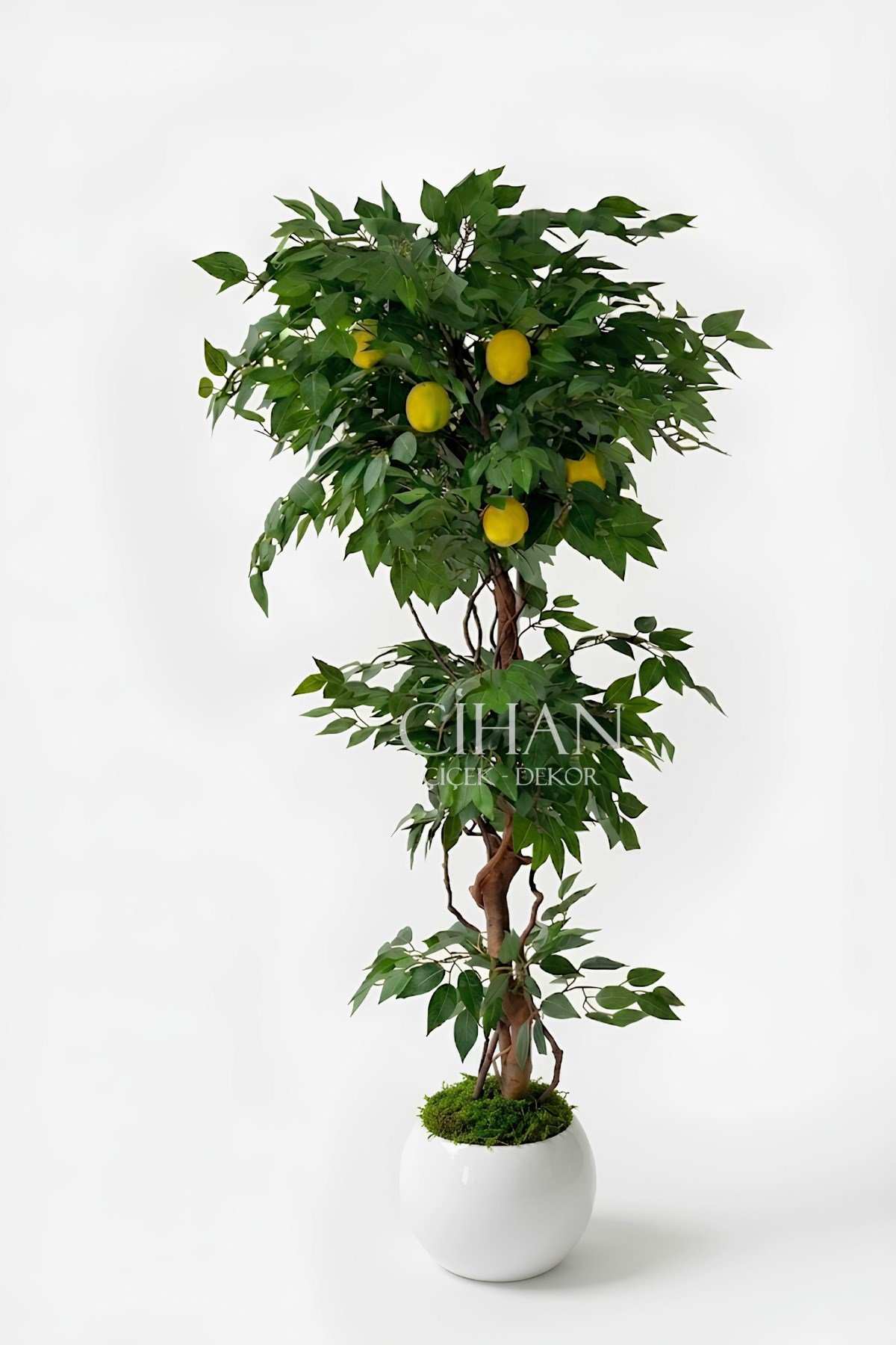 Yapay Limon Ağacı 180 cm - 6 Limonlu Beyaz Küre Saksılı 27x33 cm