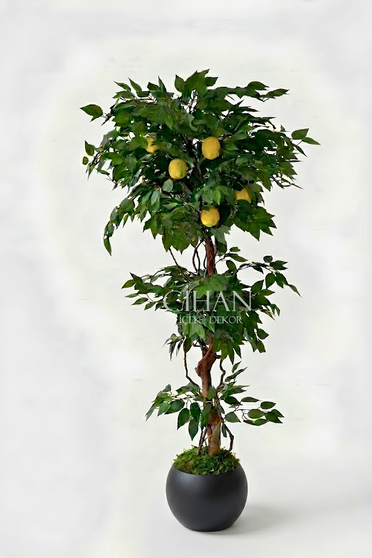 Yapay Limon Ağacı 180 cm - 6 Limonlu Siyah Küre Saksılı 27x33 cm