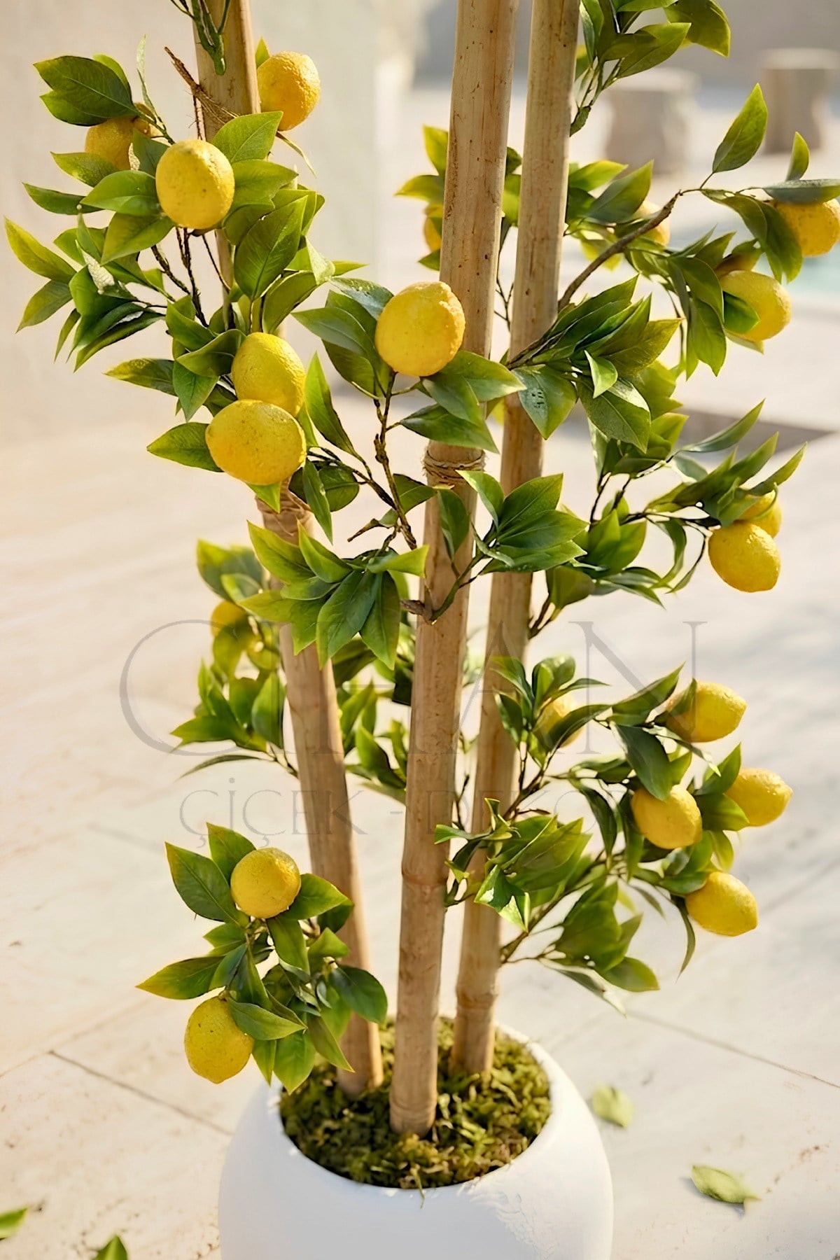 Yapay Limon Bambu Ağacı - Beyaz Küre Saksılı 100 cm