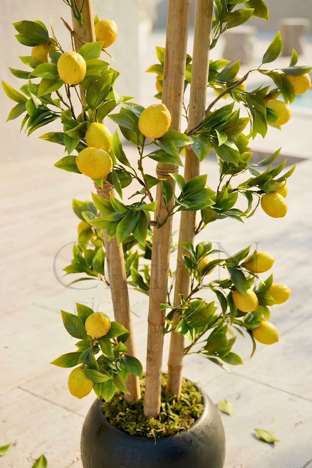 Yapay Limon Bambu Ağacı - Siyah Küre Saksılı 100 cm