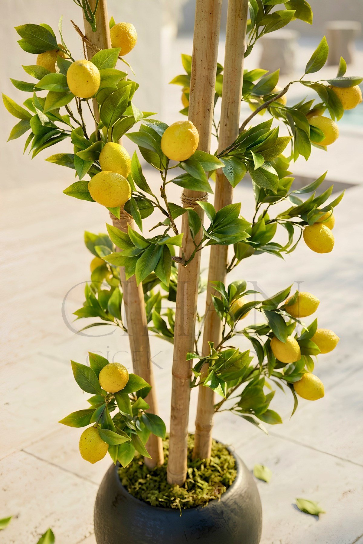 Yapay Limon Bambu Ağacı - Siyah Küre Saksılı 100 cm