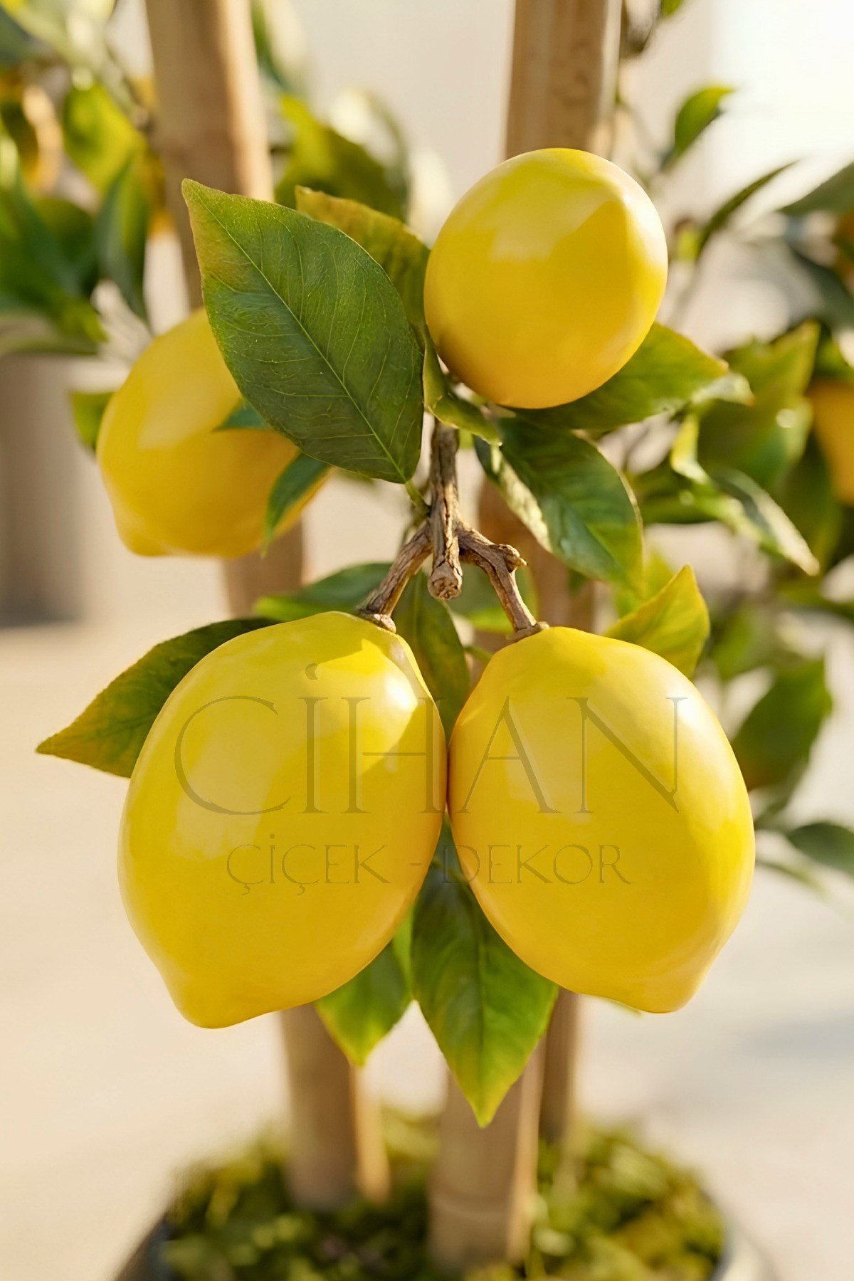 Yapay Limon Bambu Ağacı - Siyah Küre Saksılı 100 cm